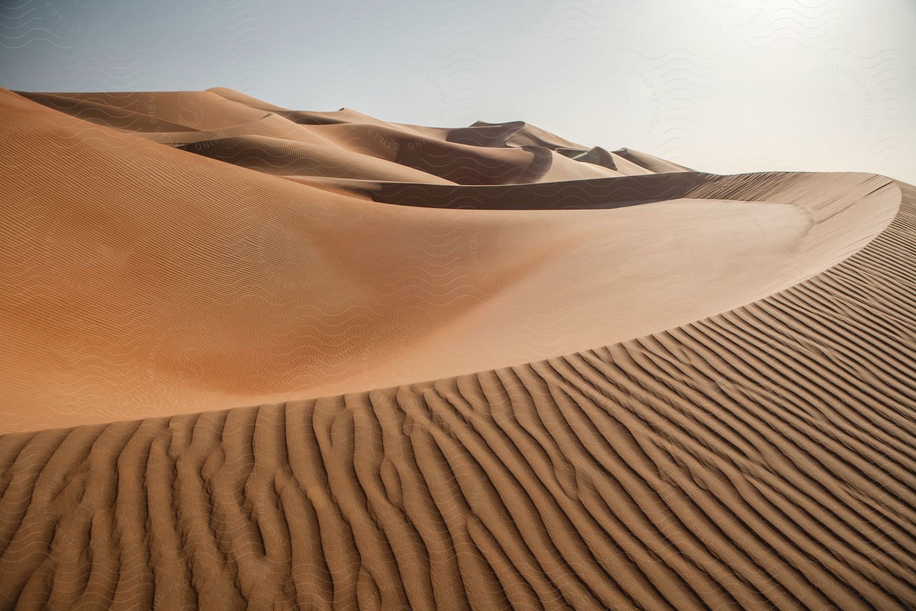 Desert landscape with sand dunes and ridges