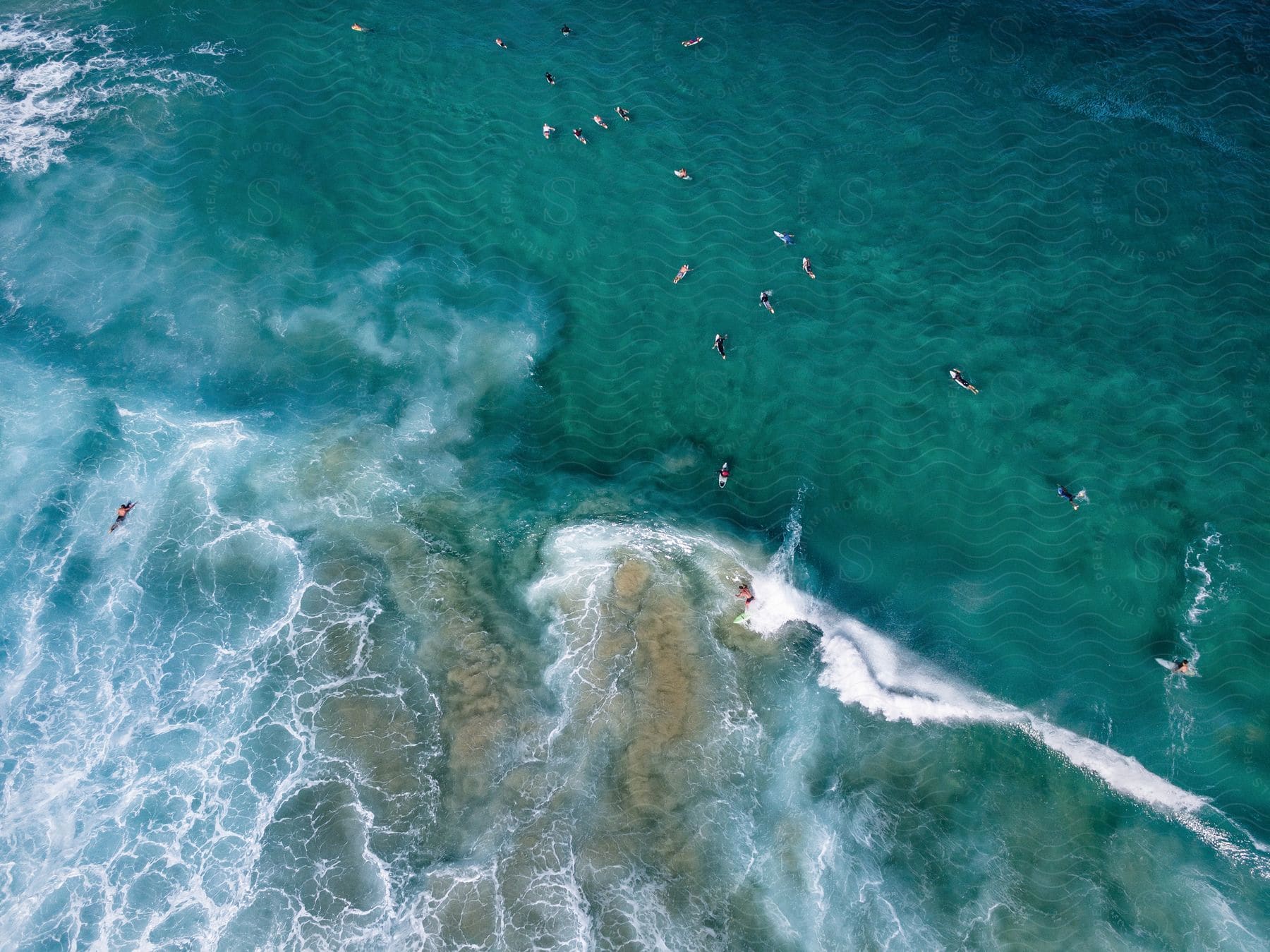 Group of surfers paddling on their boards at the sea