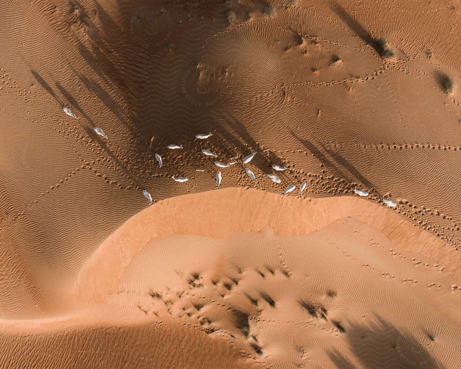 Aerial perspective of a desert landscape