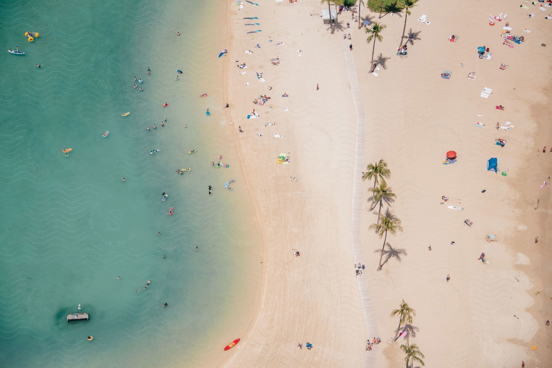 A crowded beach on a hot summer day with people swimming sunbathing and boating under palm trees in the blue sky