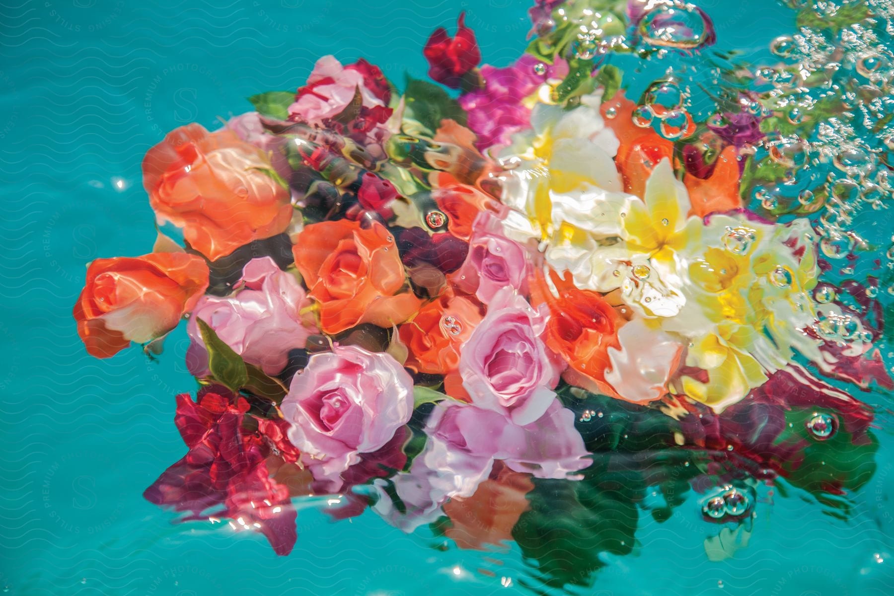 A colorful bouquet of flowers submerged in water