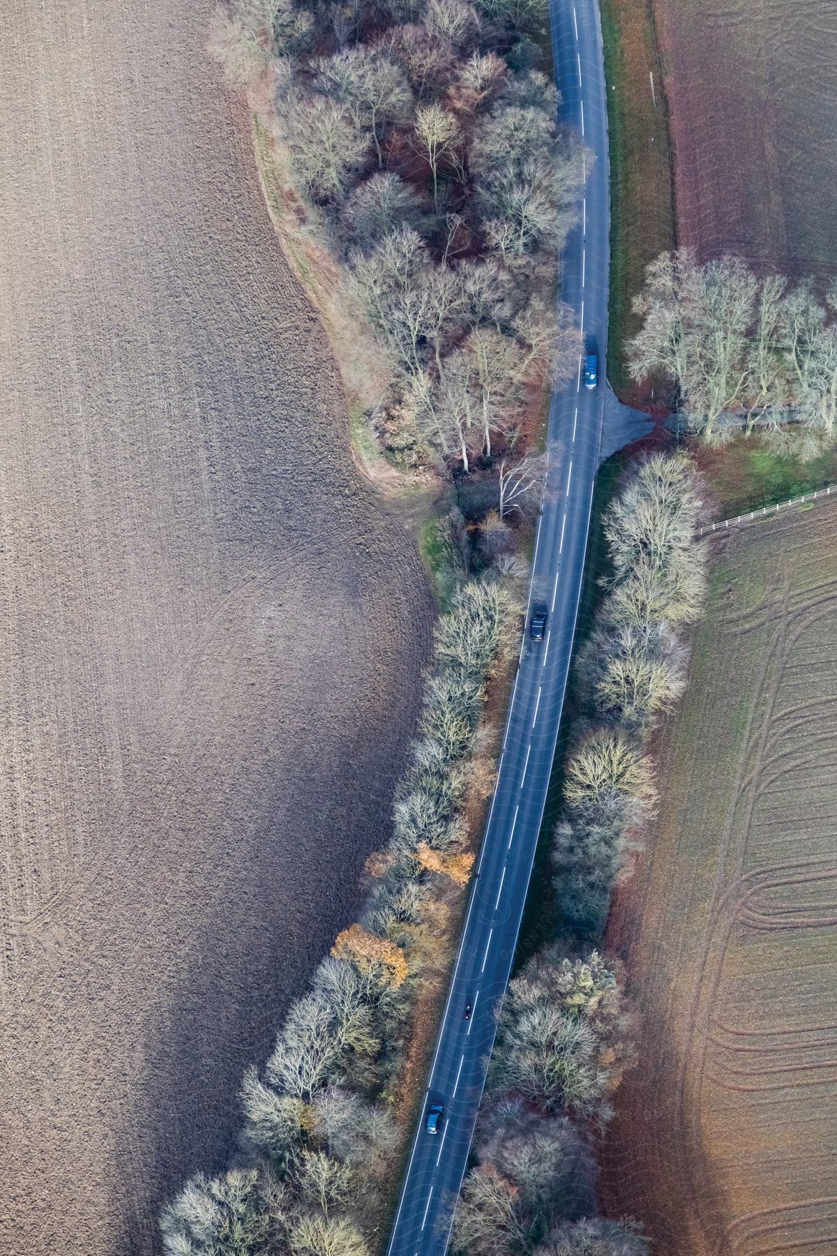 A Road Flanked By Trees Leading To Cleared Land For Agriculture