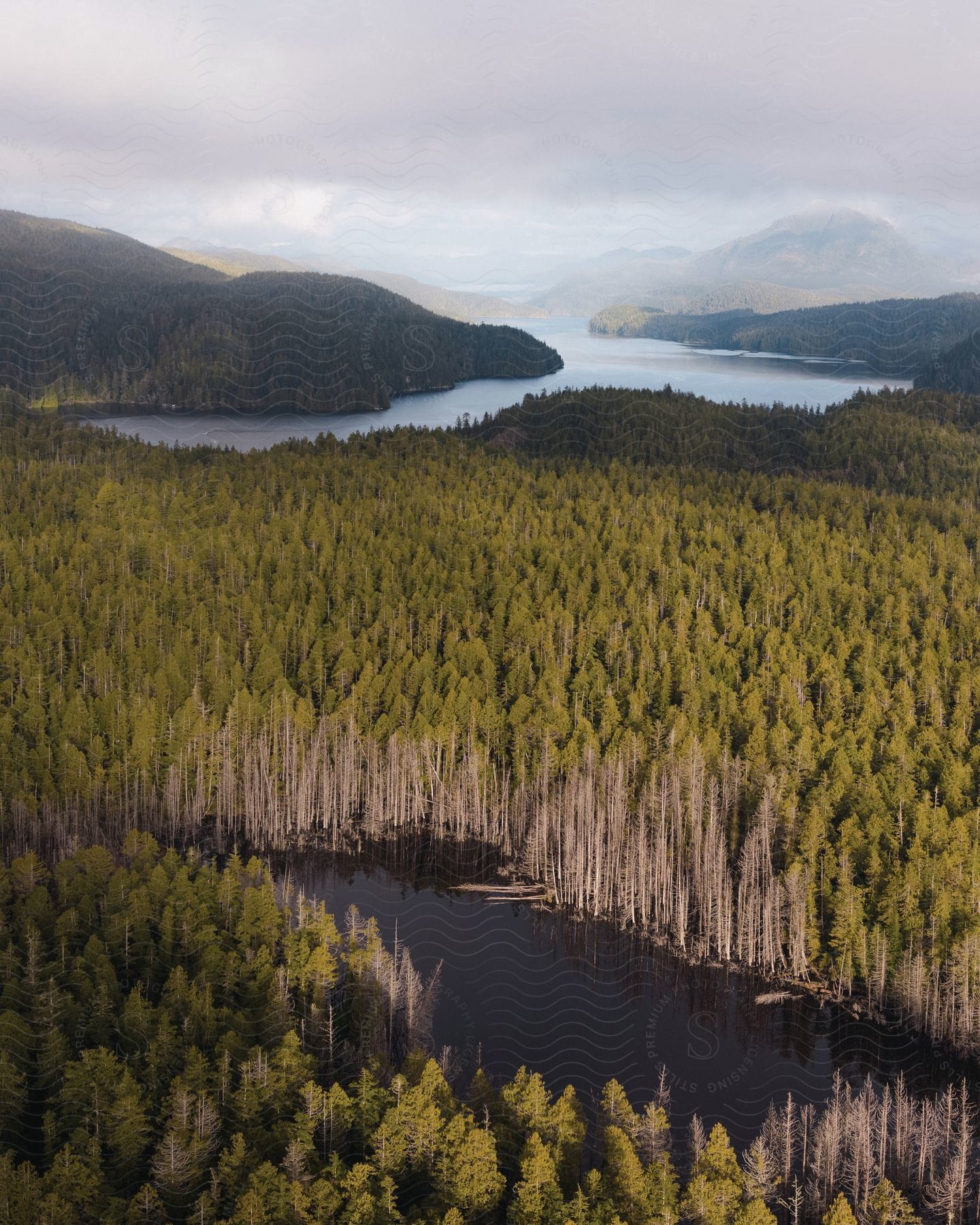 Aerial view of a natural landscape with a lake mountains and trees