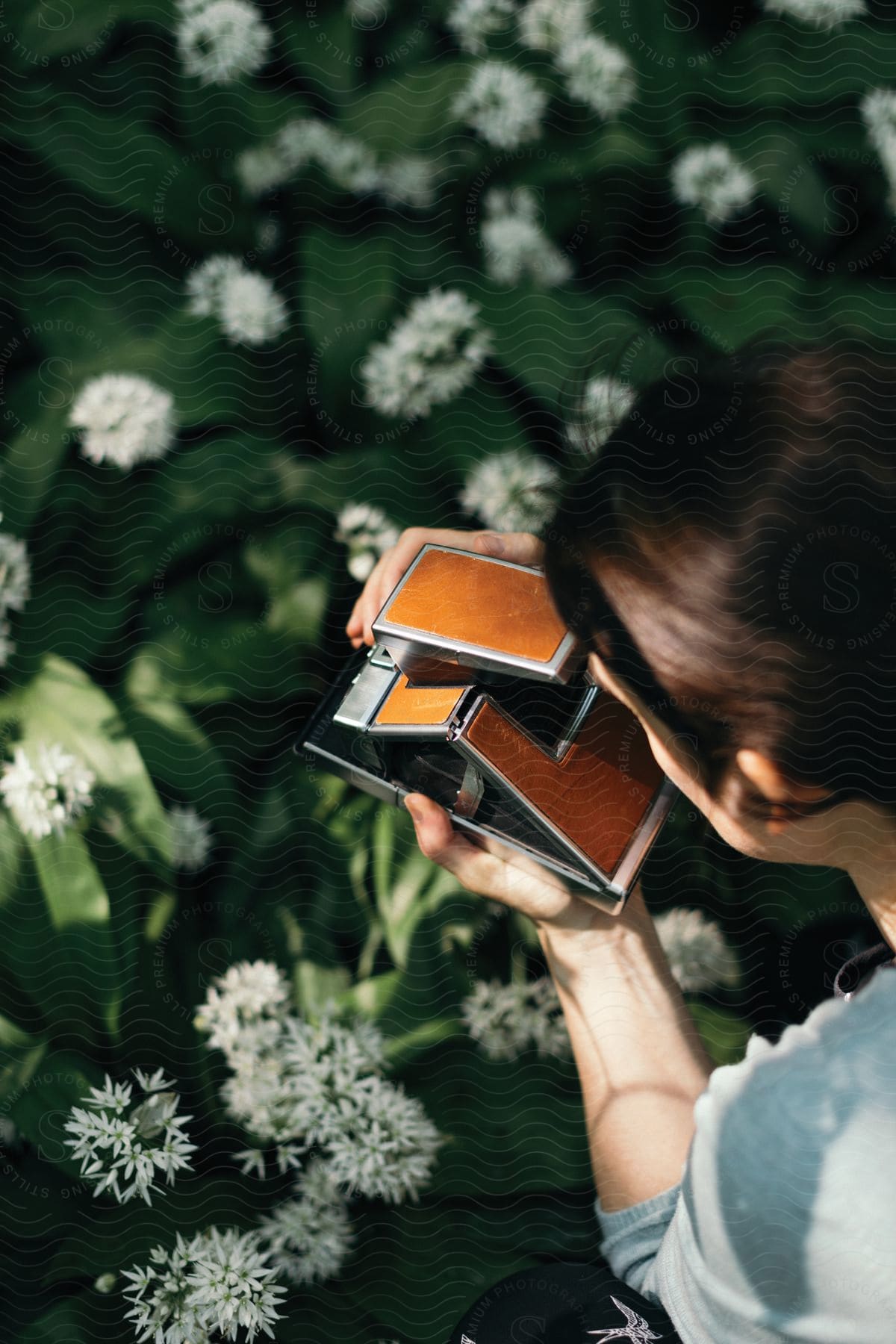 A woman crouched using a folding camera to take a picture