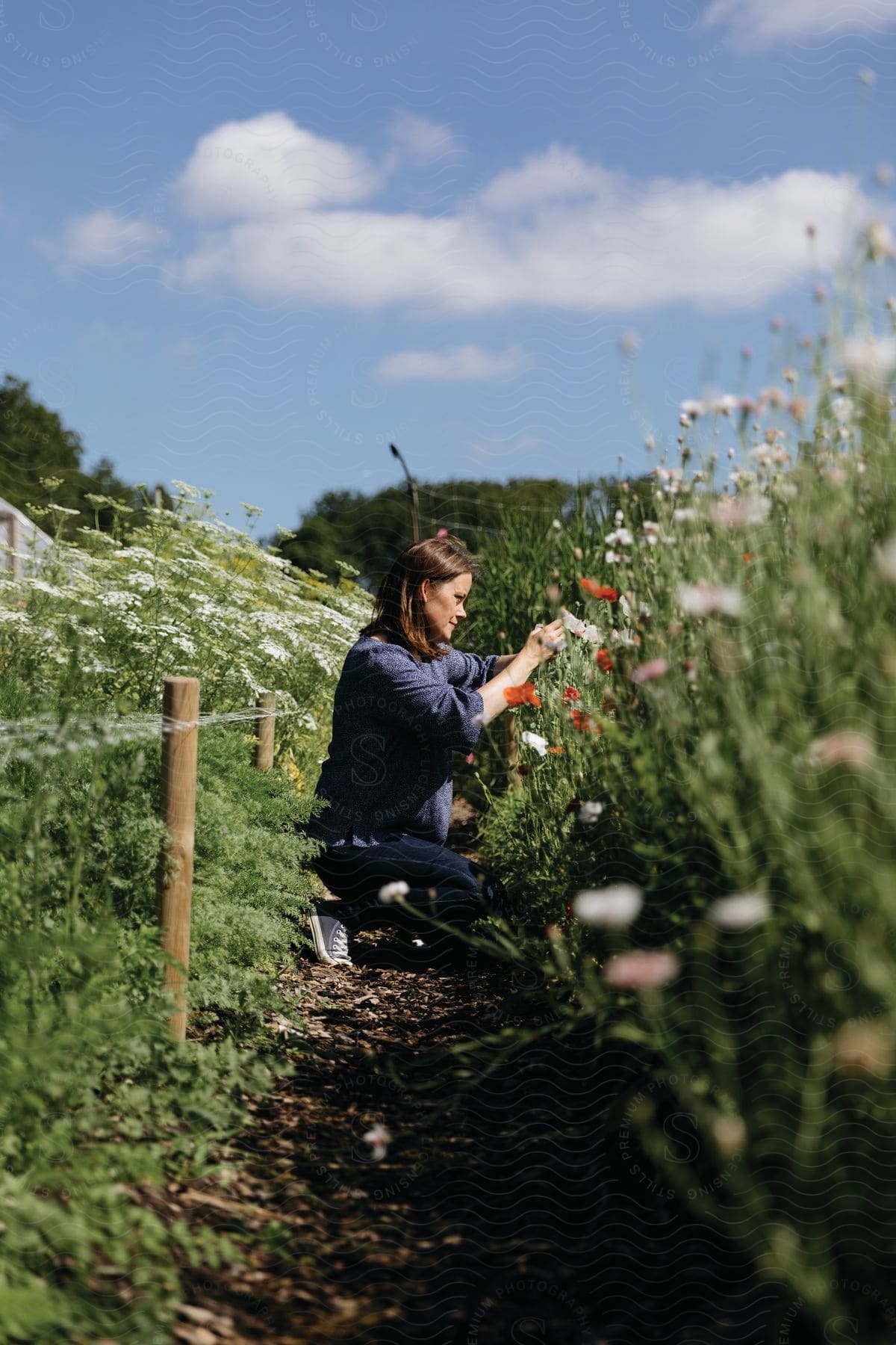 A woman tending to her garden