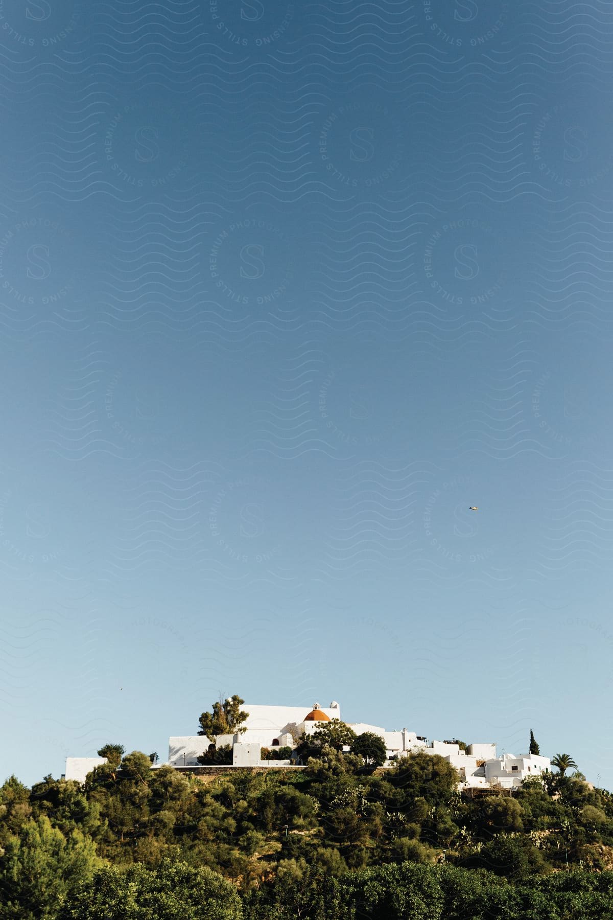 A large mansion in the suburbs on a hill surrounded by trees on a sunny day