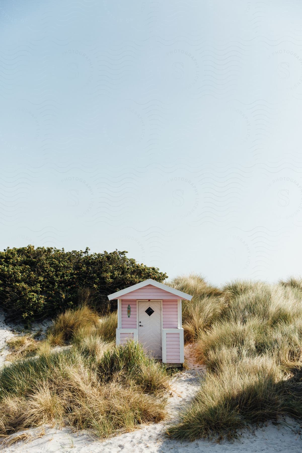 A cute pink wooden beach hut on a sandy grassy beach