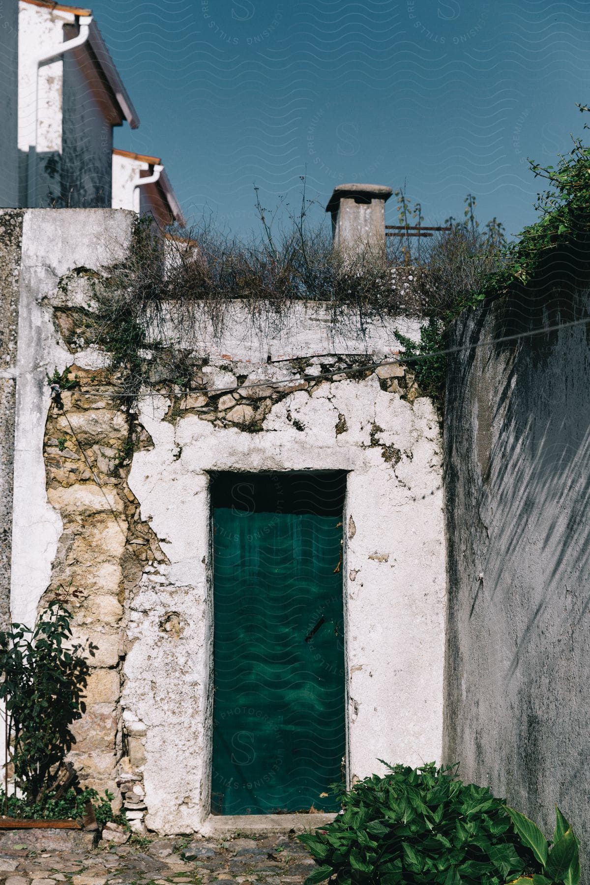 An old wall with greenery in a village