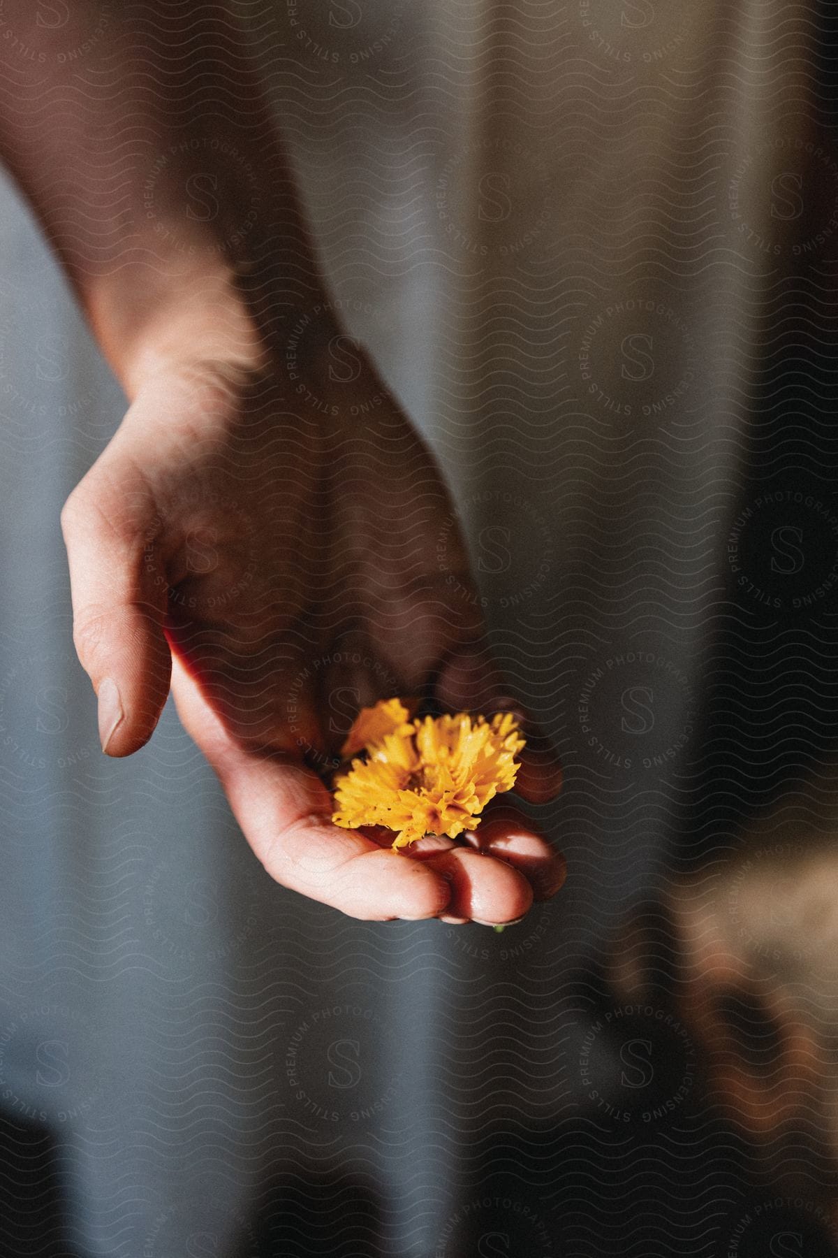 A man holding yellow flowers with his hand outstretched