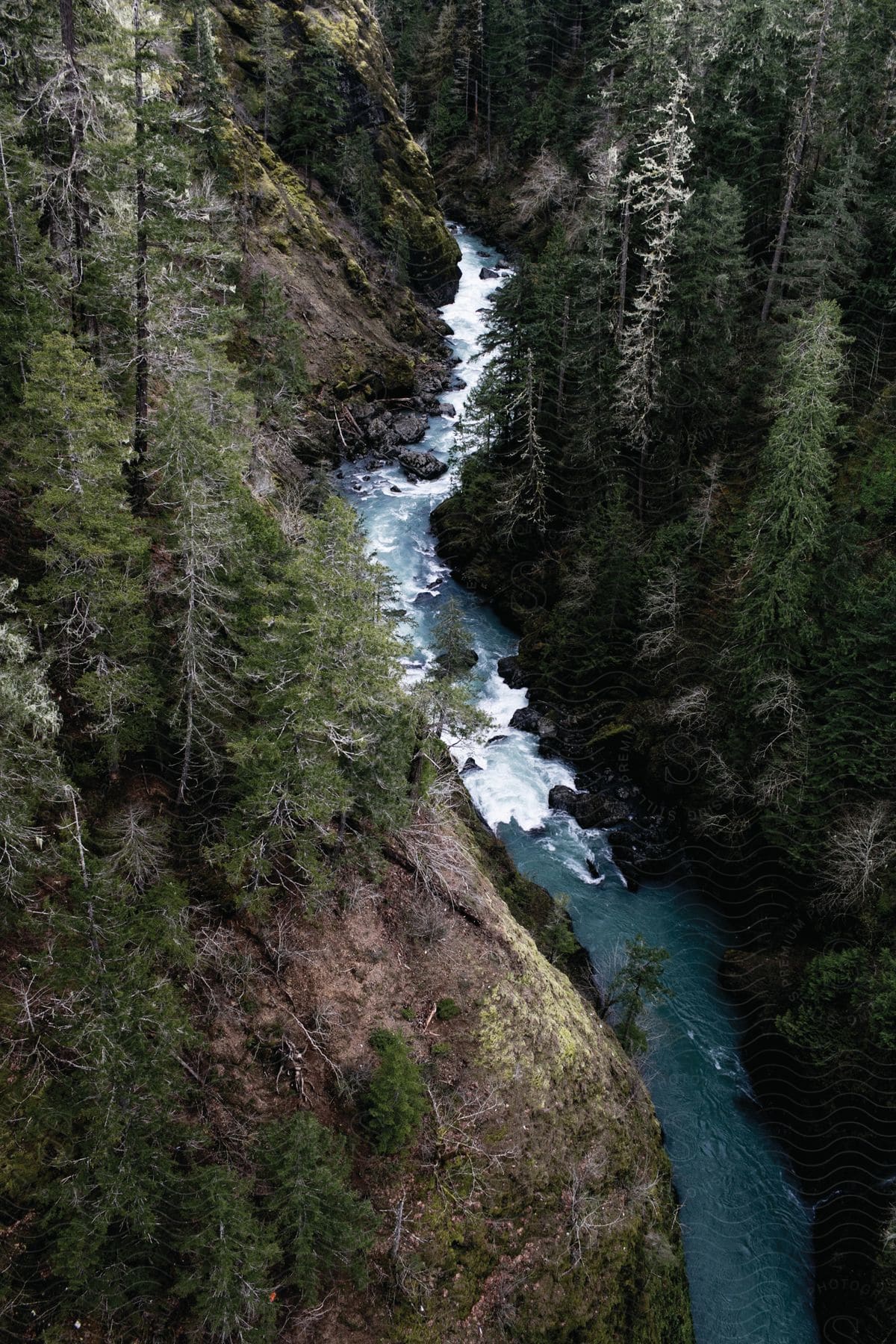 A stream flows over rocks in a valley