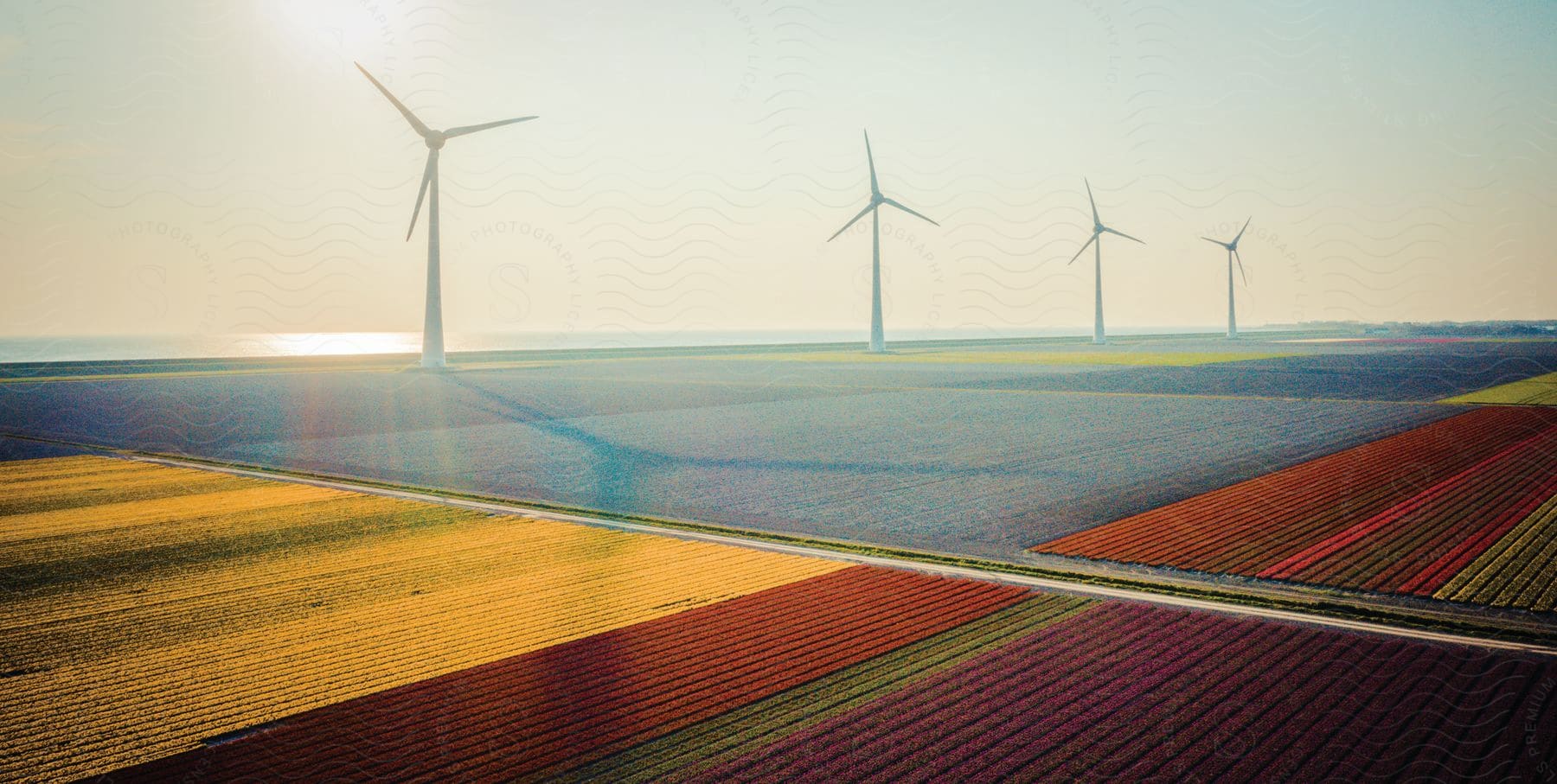 The sun is setting in the horizon of an agricultural field