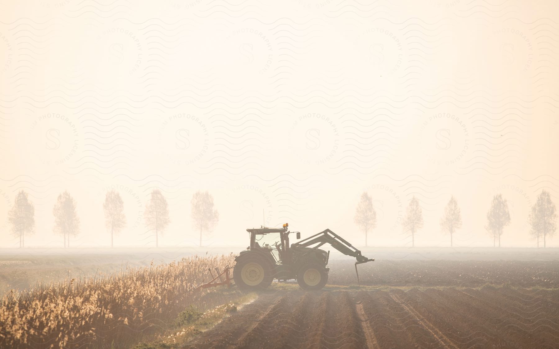 A parked tractor next to rows of crops in an agricultural setting at dawn or dusk