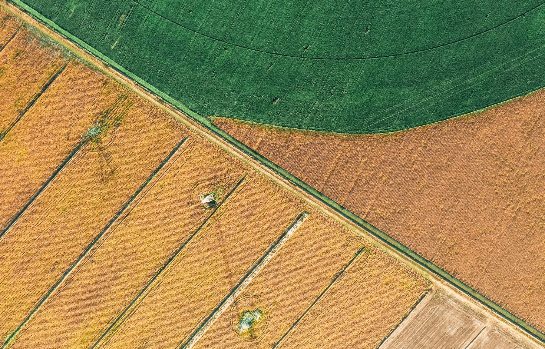 A green grass field above a line of crops in the countryside