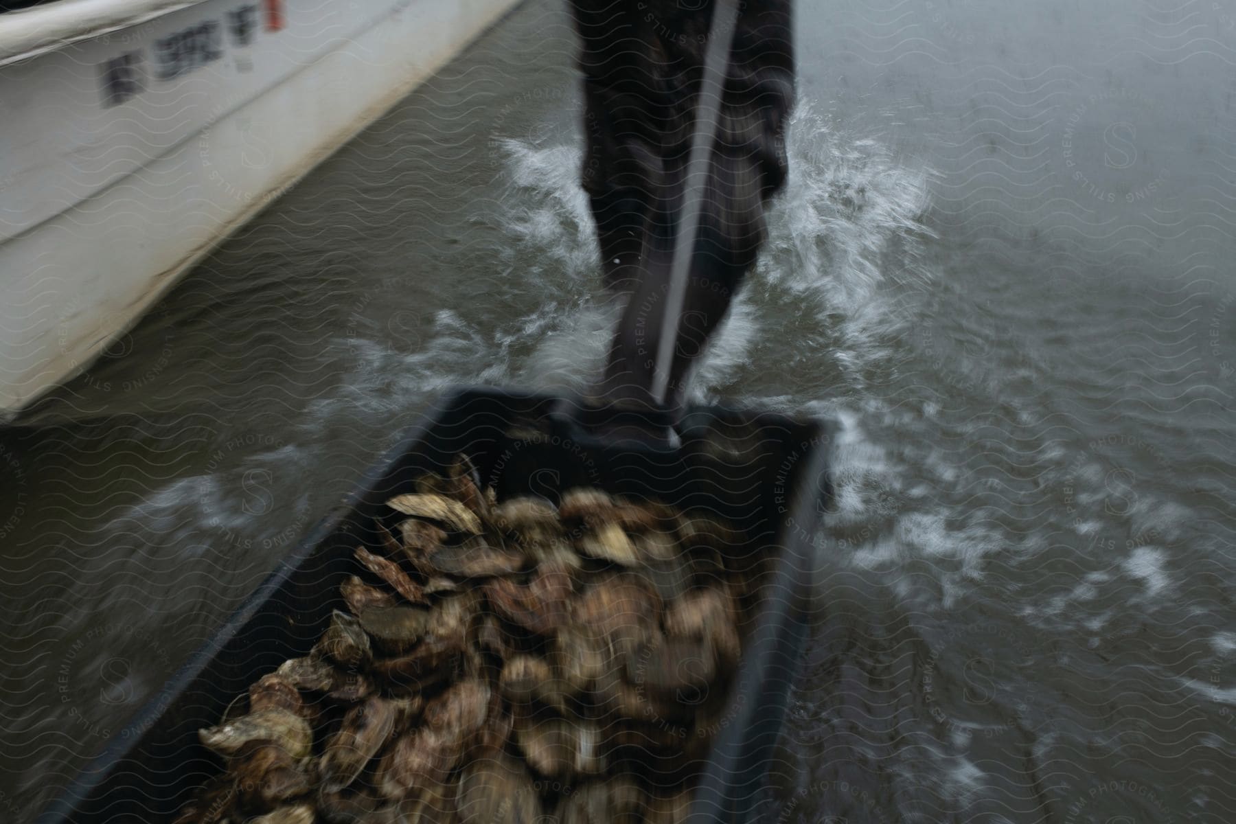 A person drags a container of oysters through the water next to a boat creating ripples