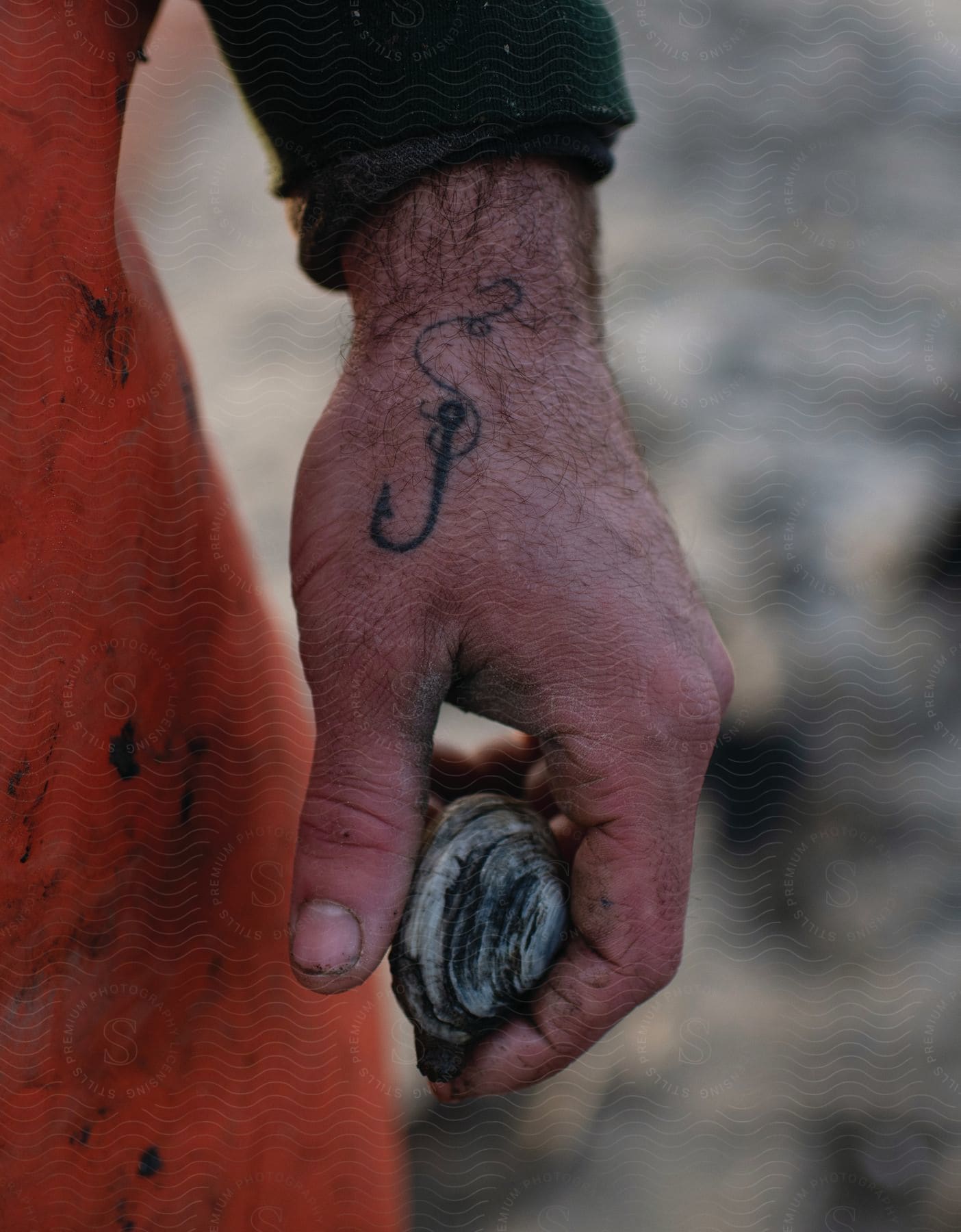 A hand with an anchor tattoo holds a clam