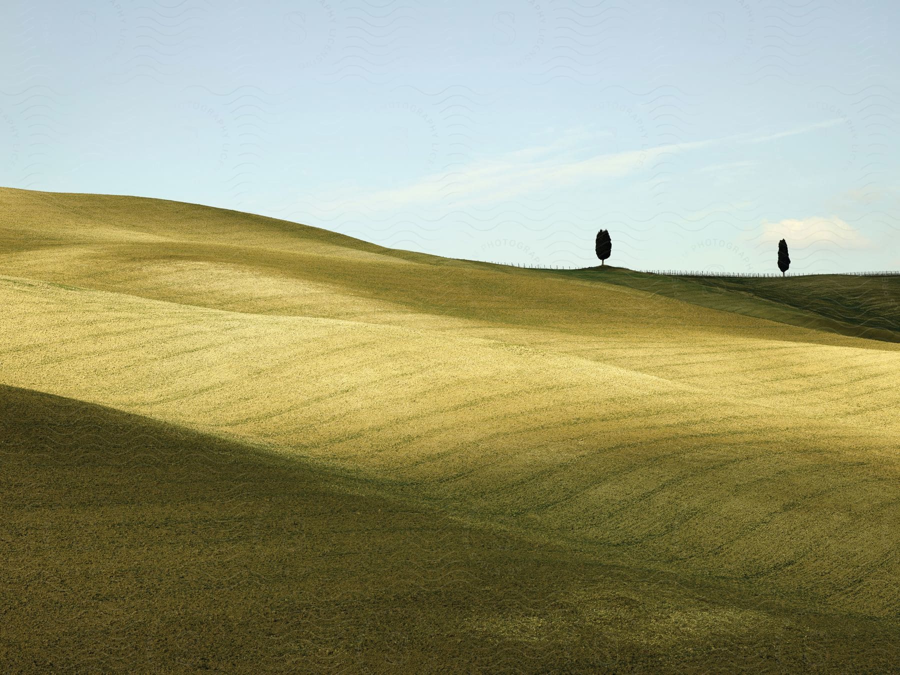 A green hill slope in a natural landscape