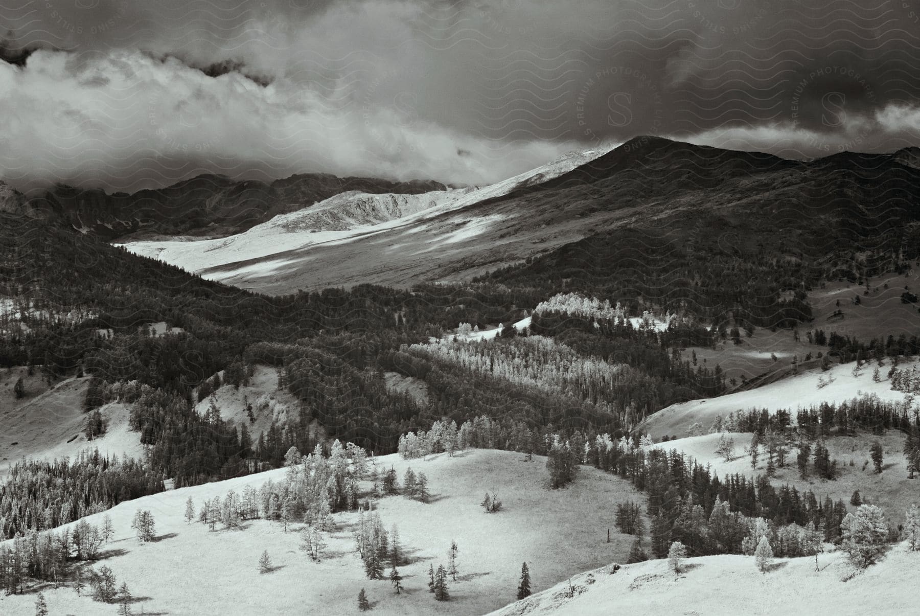 Snowy mountains and forests on a cloudy day