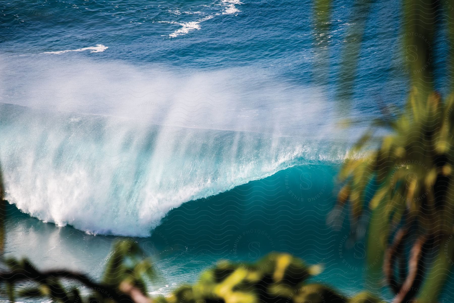 A crashing wave seen through palm trees