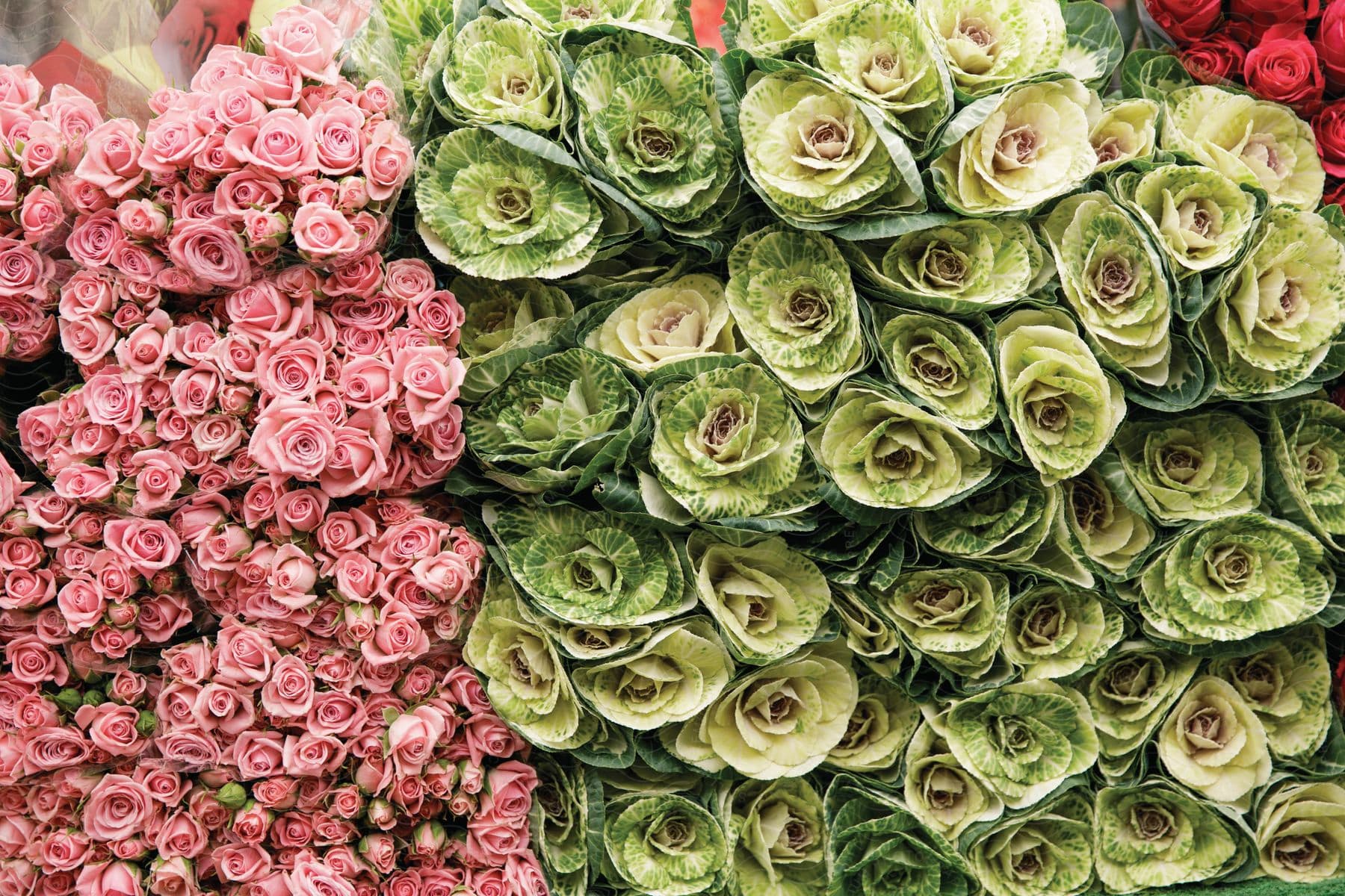 A bouquet of roses and other flowers arranged in a pattern