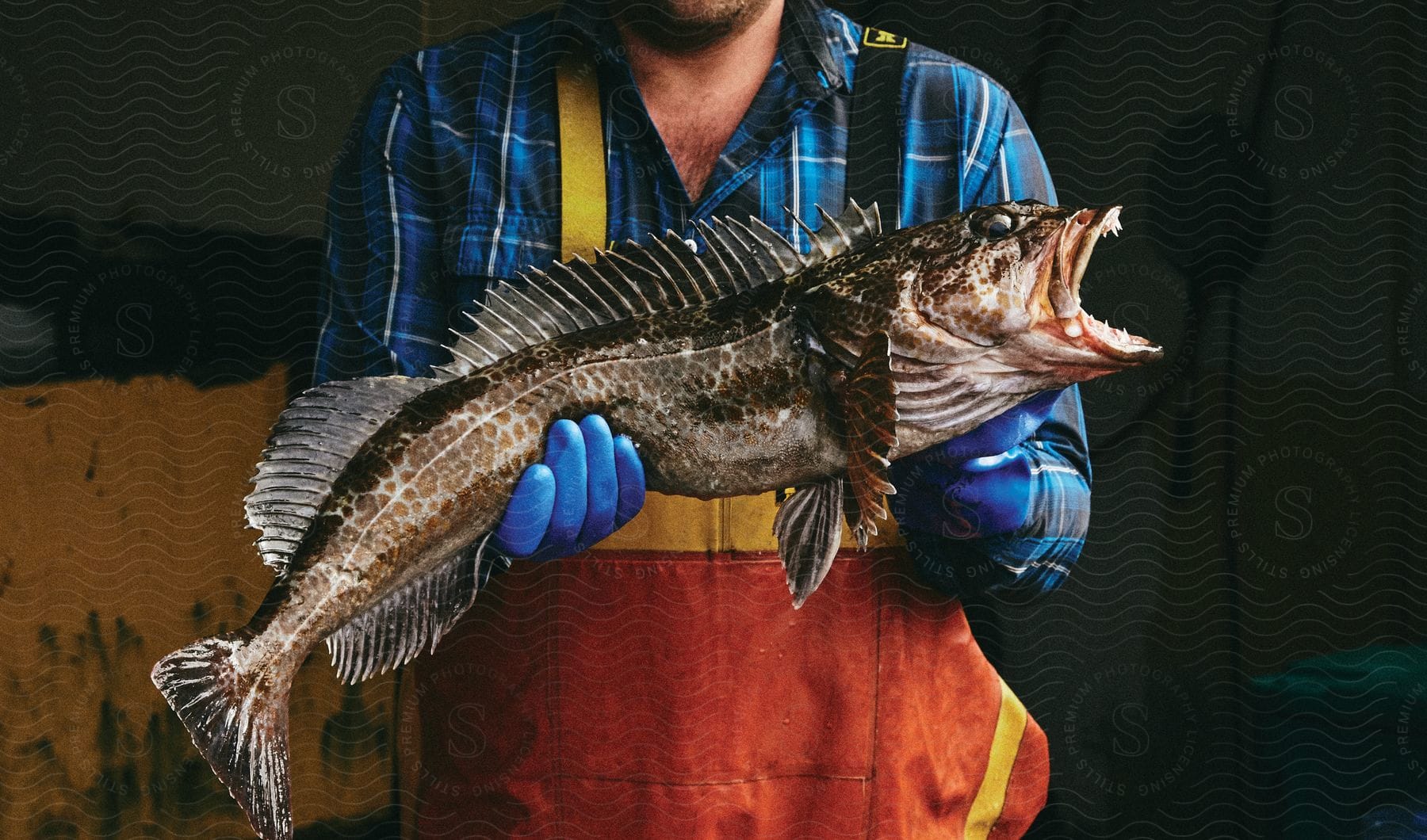 Stock photo of a man with an apron standing up outdoors displaying a dead fish on his hands