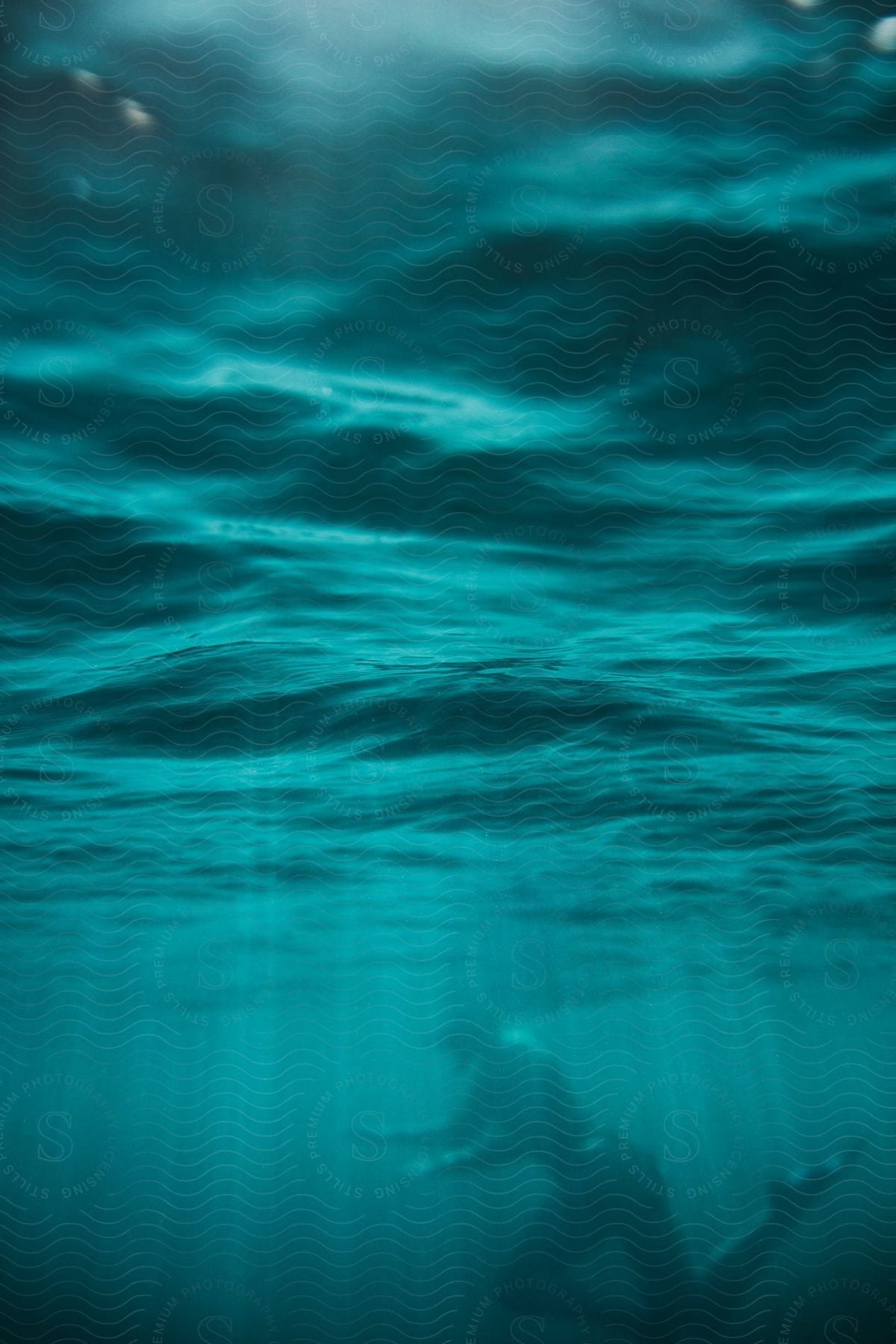 A man swimming alone in the ocean water