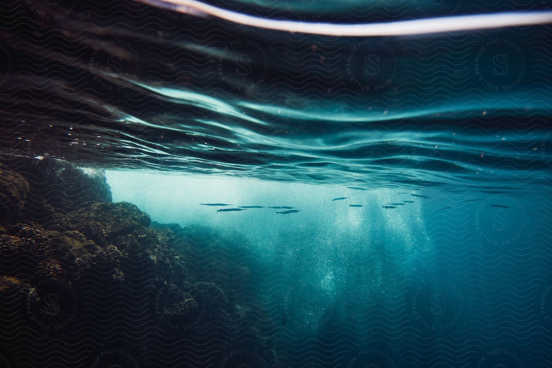 A rocky area in the sea