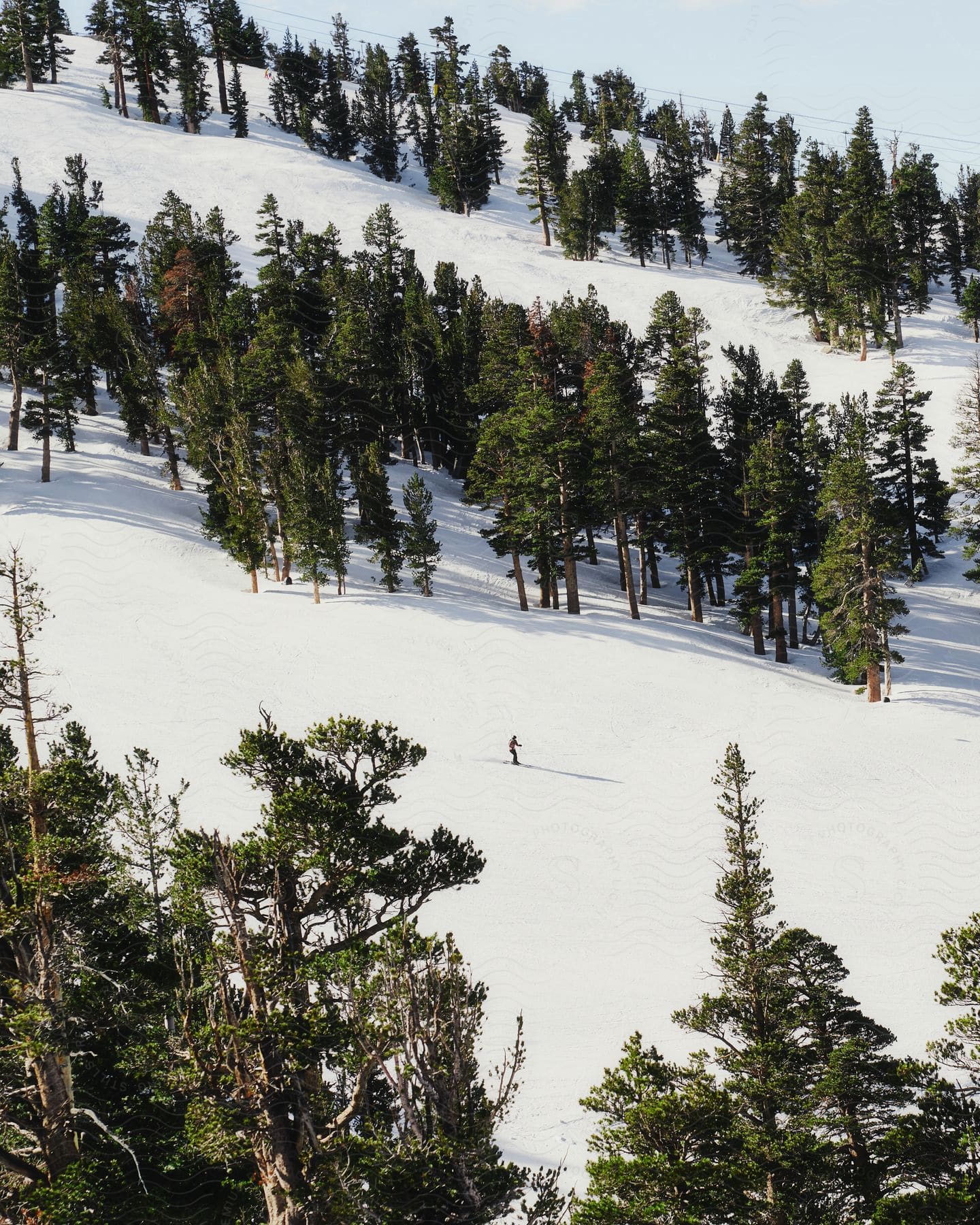 A skier is seen on a snowcovered mountainside among trees on a winter day with the sun shining