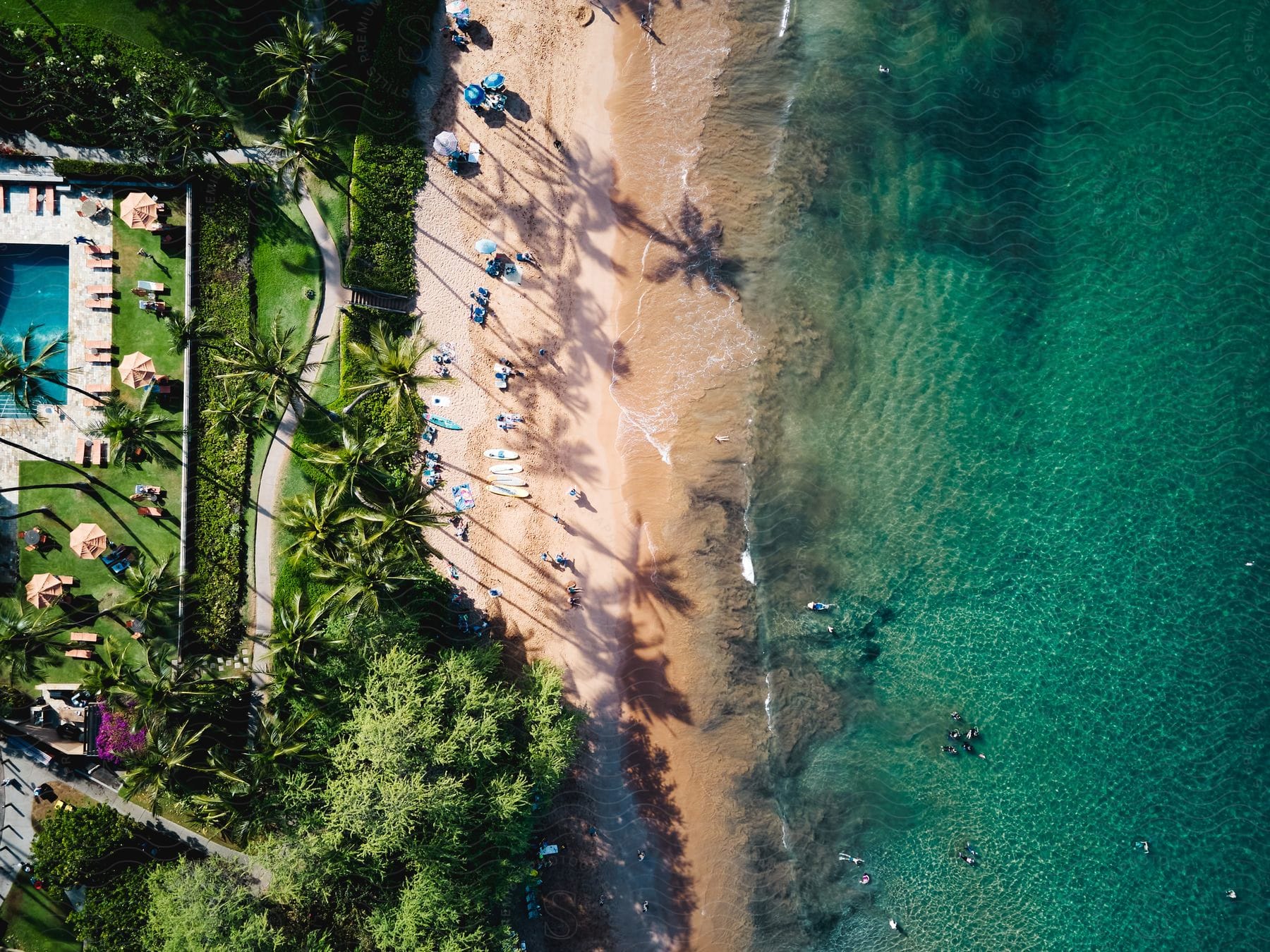 A beach with a canoe and green trees around