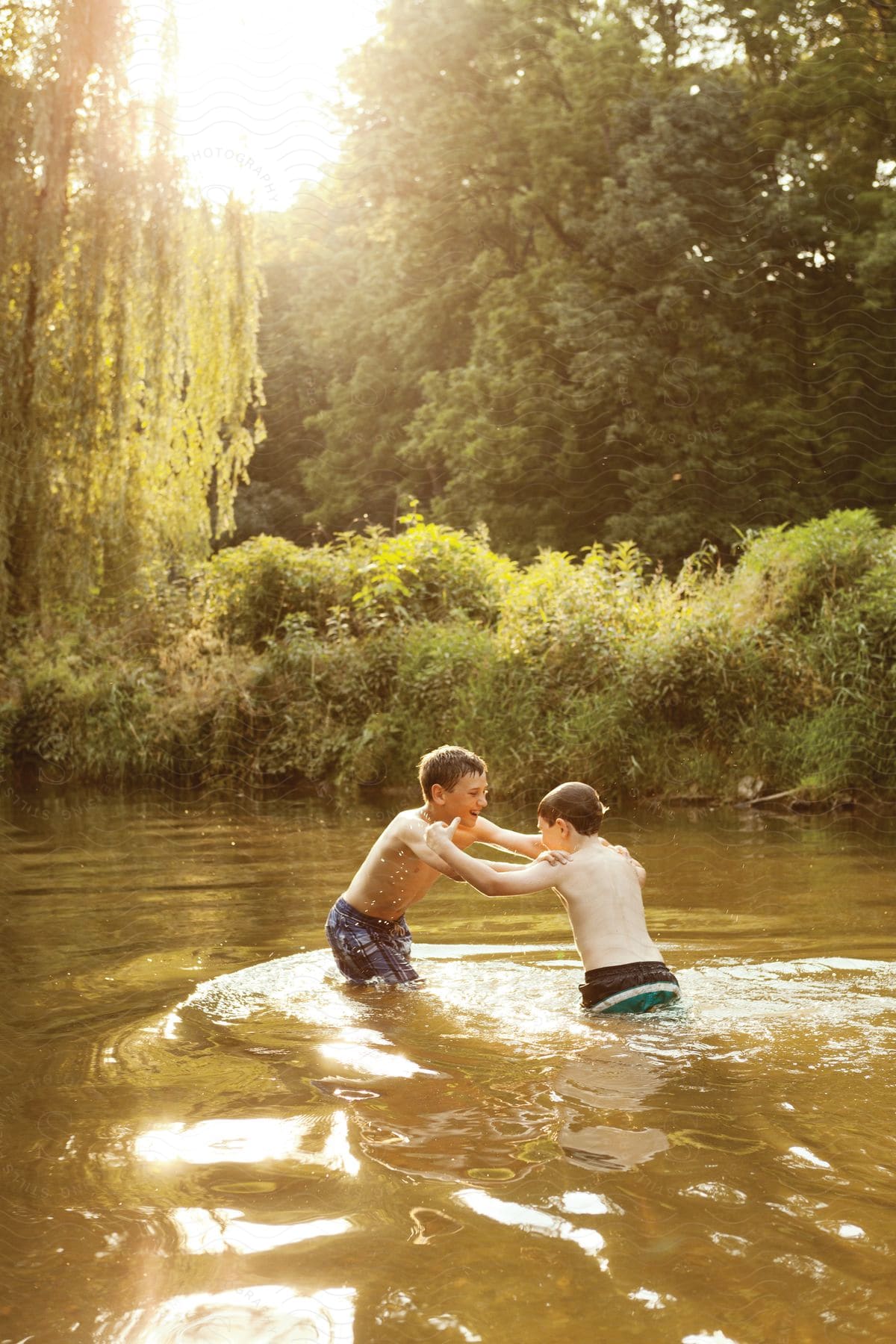 Two boys playing in a river near the woods