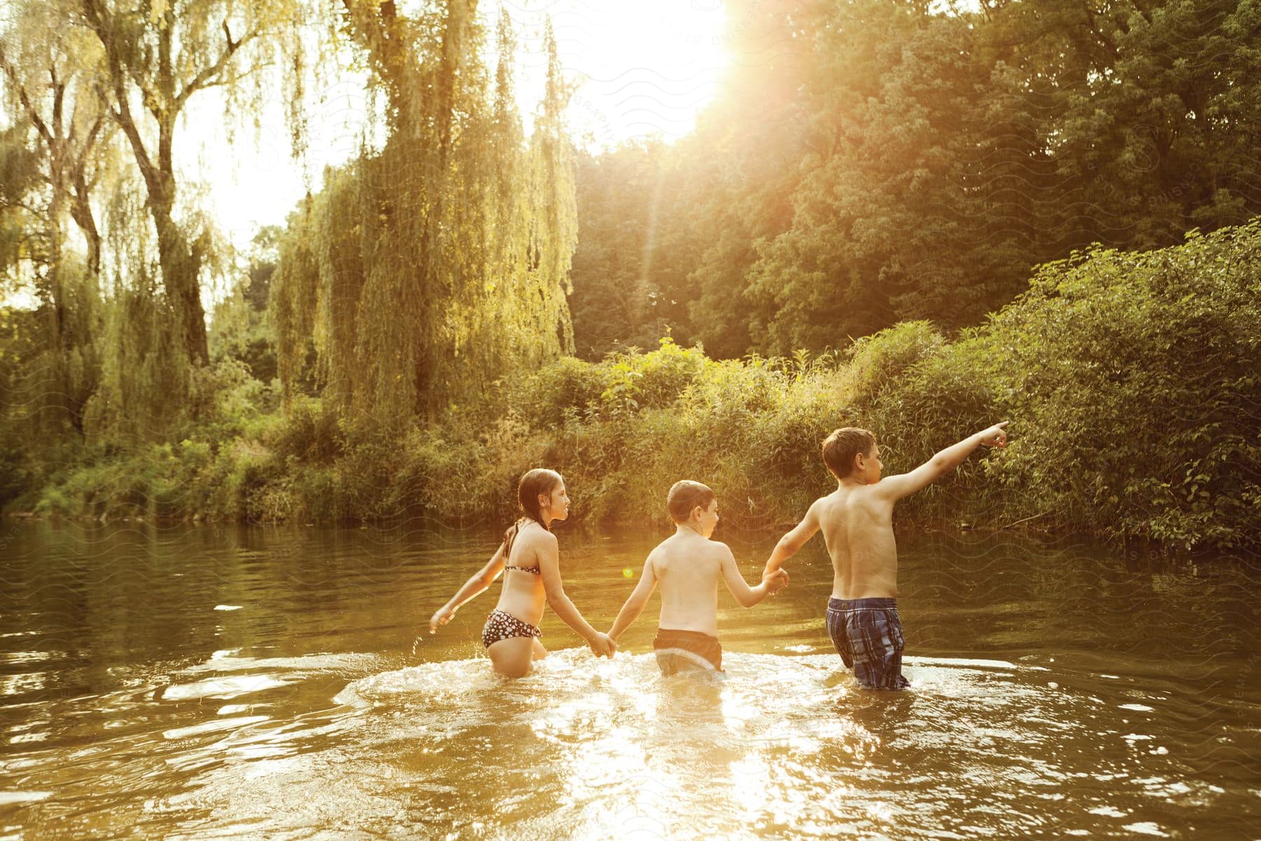 Three children playing in a mangrove river on a sunny day