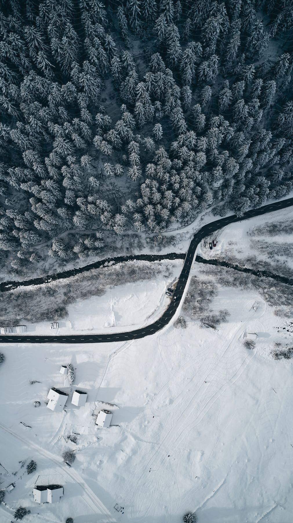 A snowy road winds through a woodland with a house nearby as a stream flows alongside