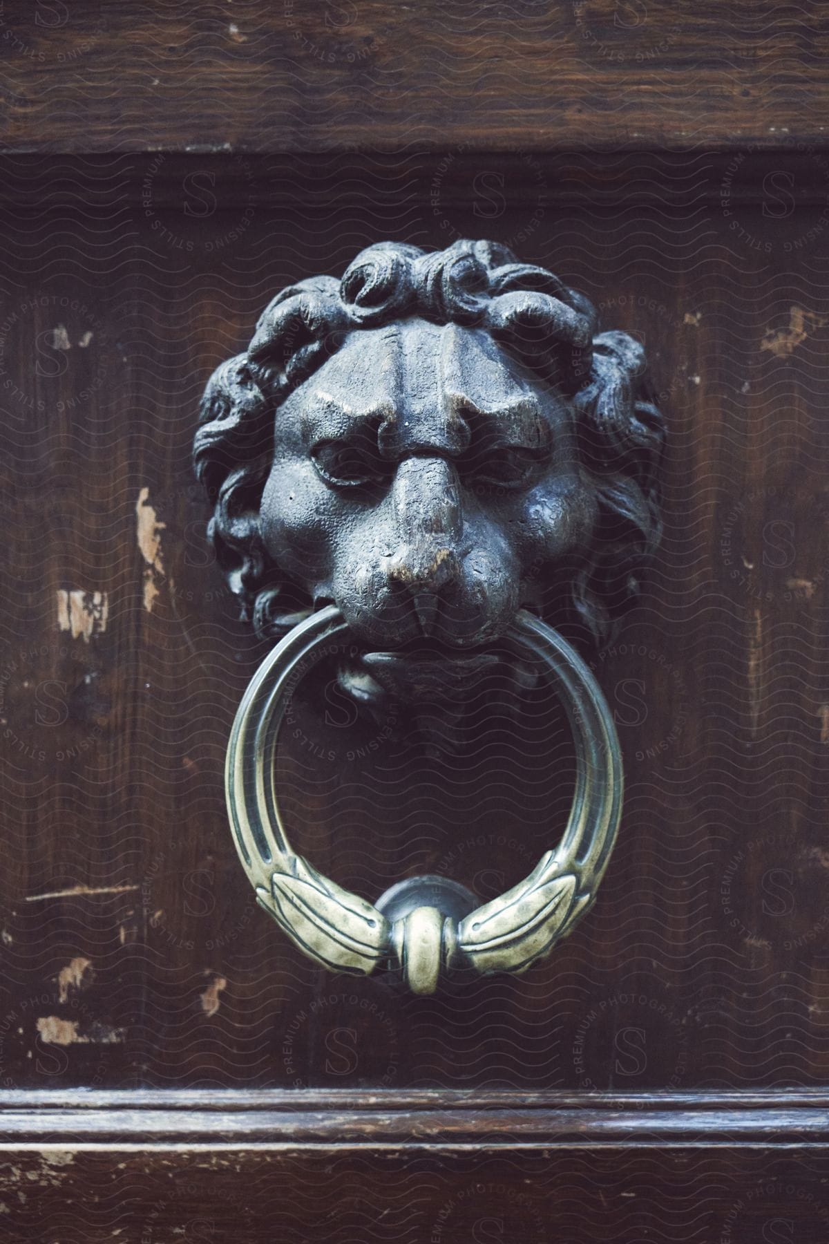 Lionshaped door handle
