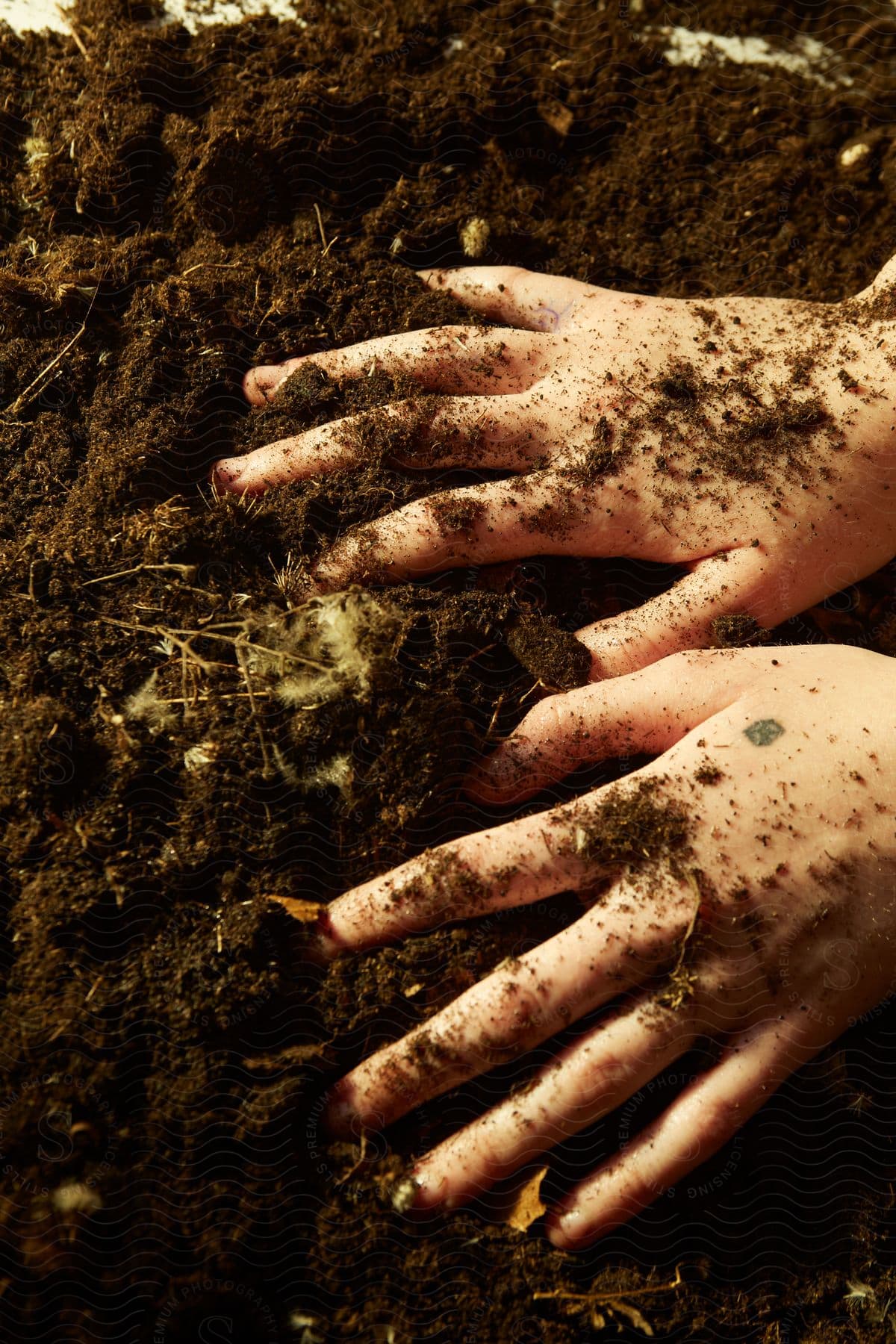 A persons hands touching soil in a garden