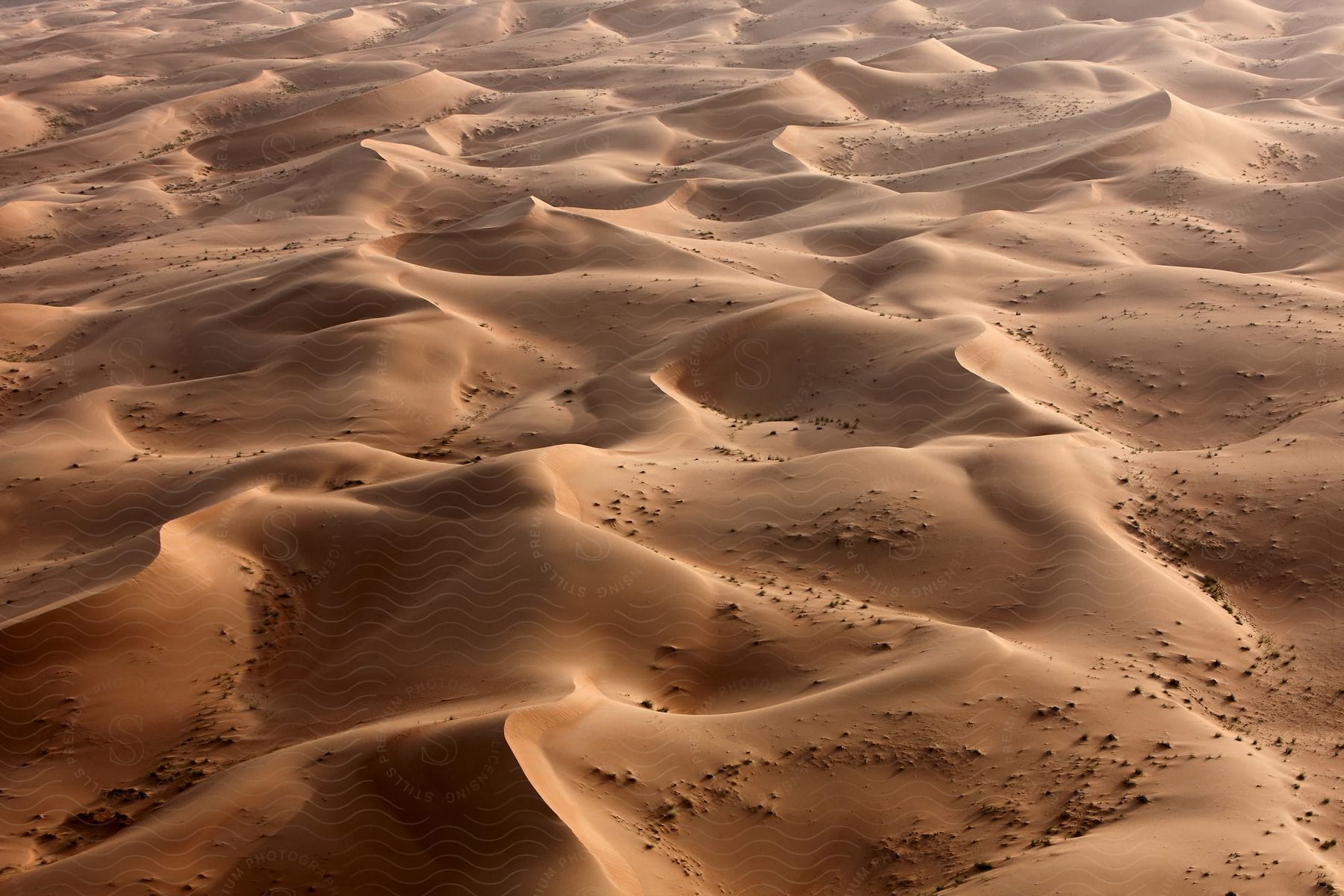 Sand dunes in a desert on a sunny day