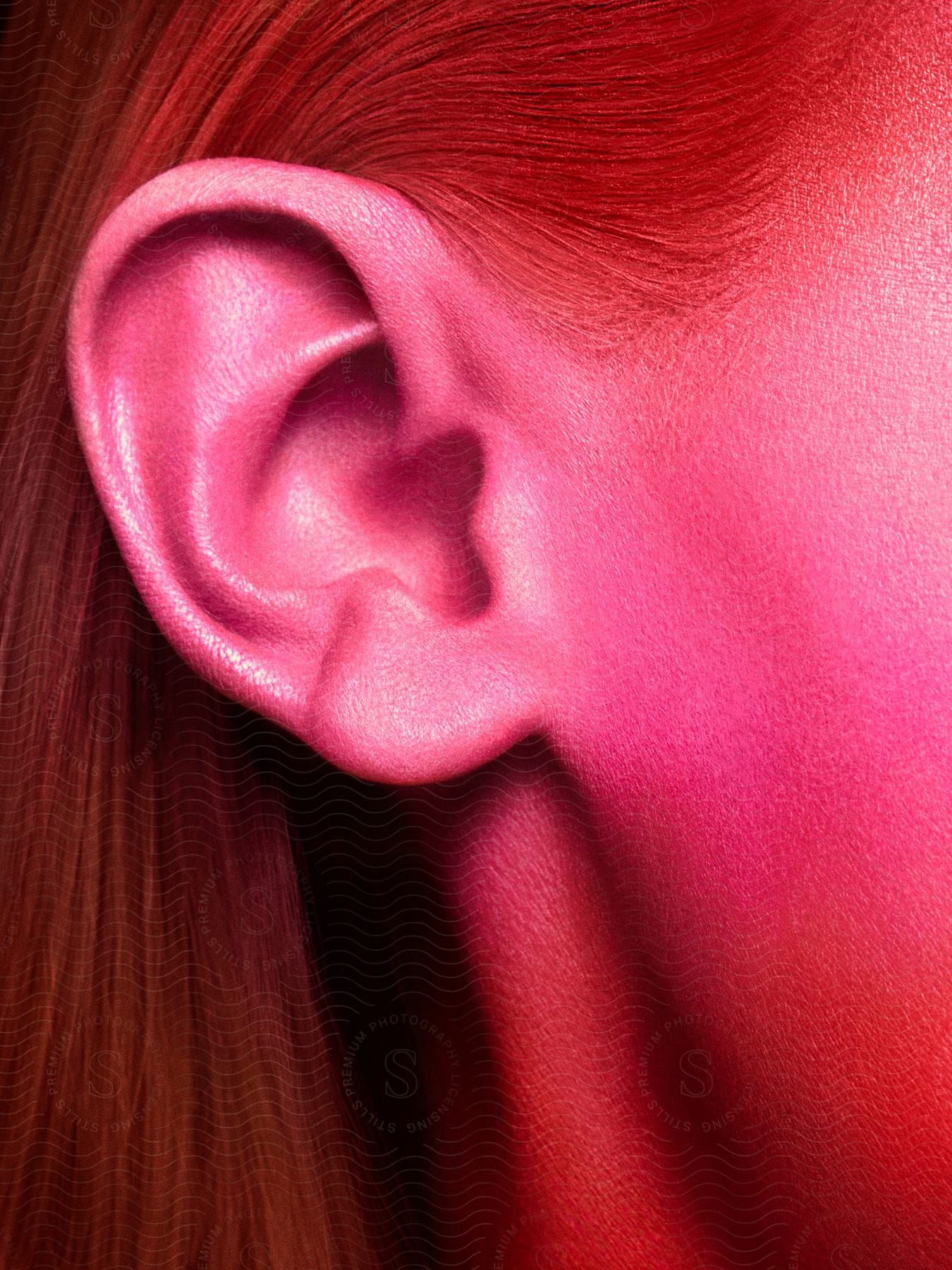 Blonde womans ear in closeup