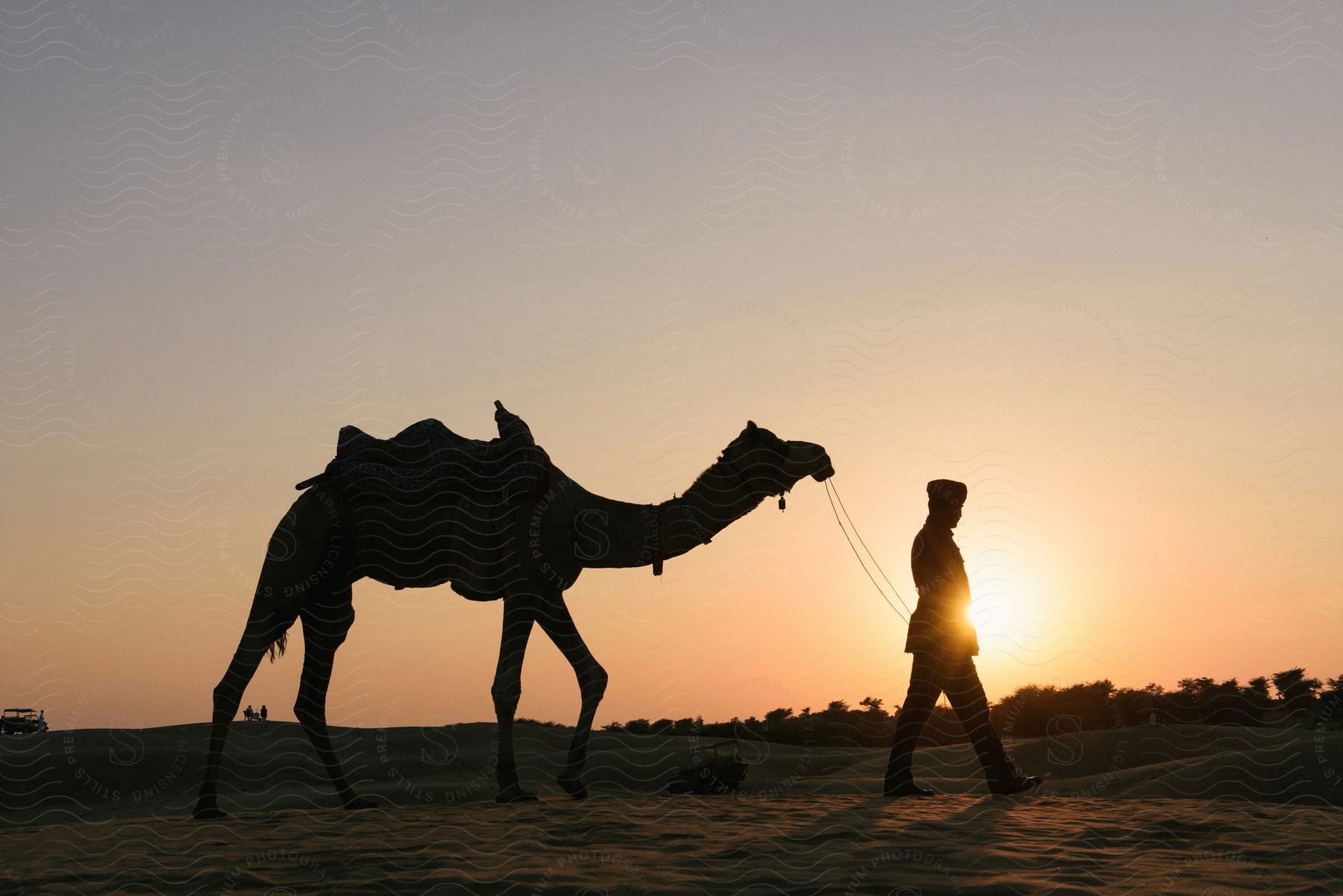 A man walks a camel as the sun sets over trees in the distance