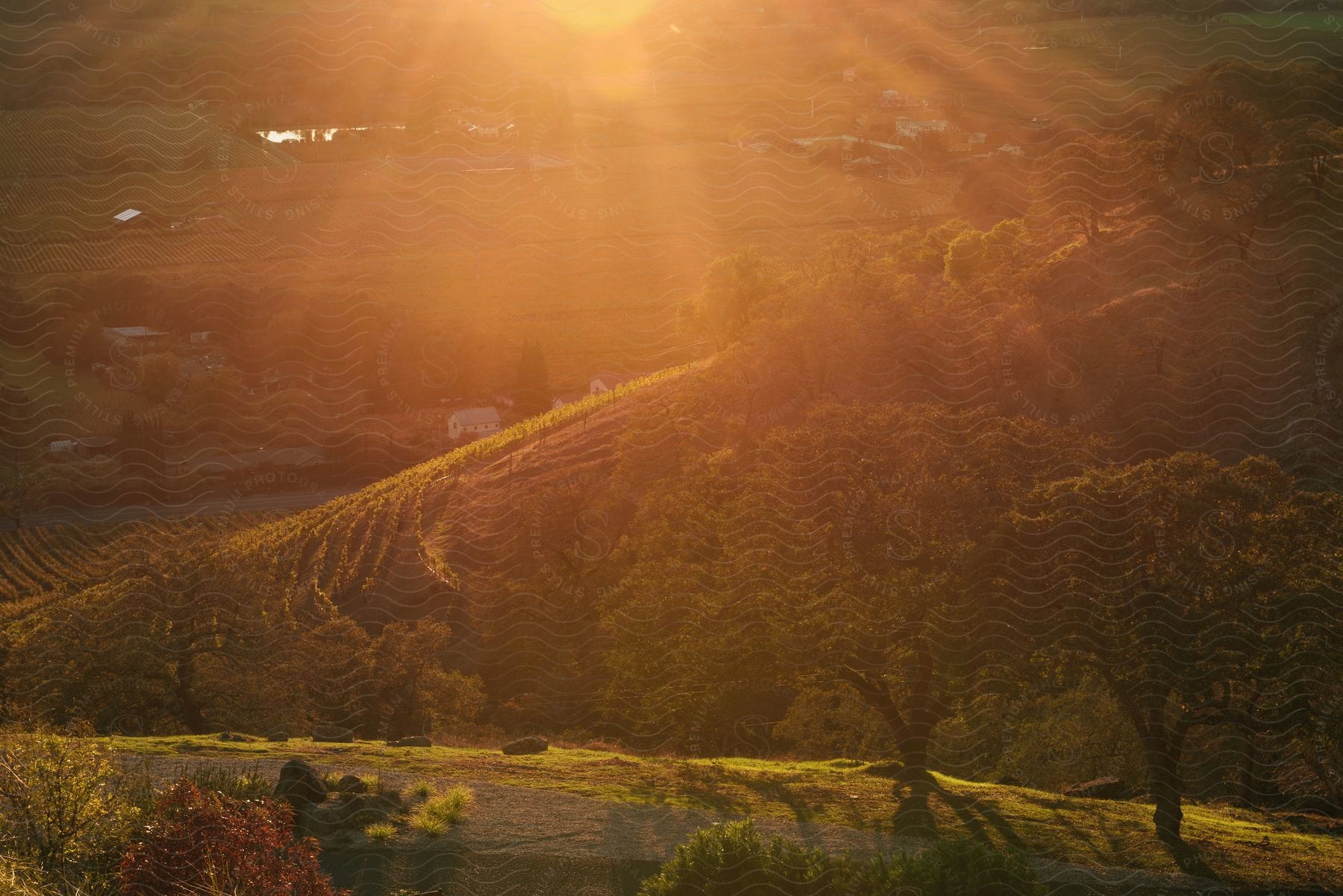 Sunlight shines on a hilly landscape during spring