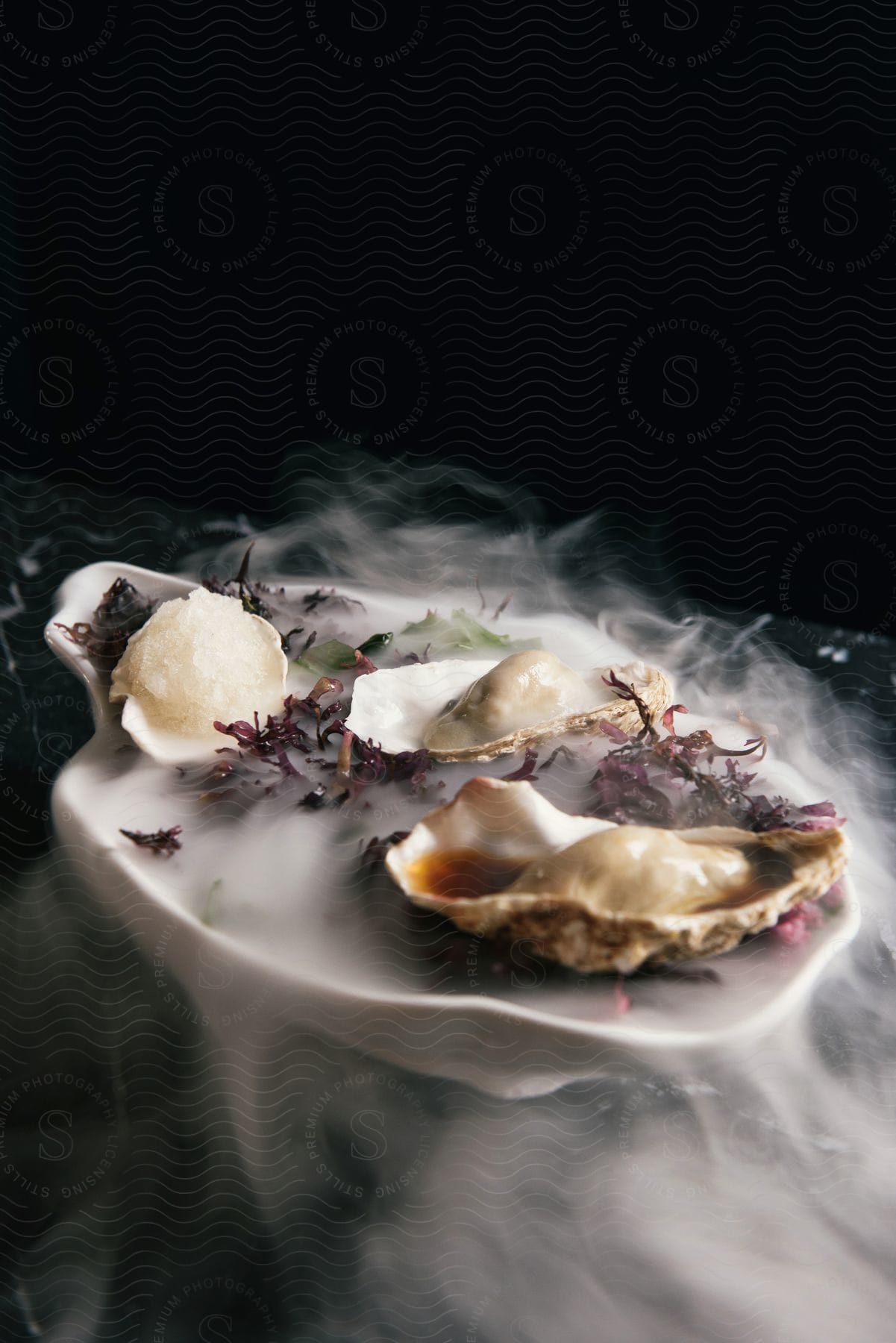 Plated oysters on the half shell over dry ice steam on a black table against a black wall