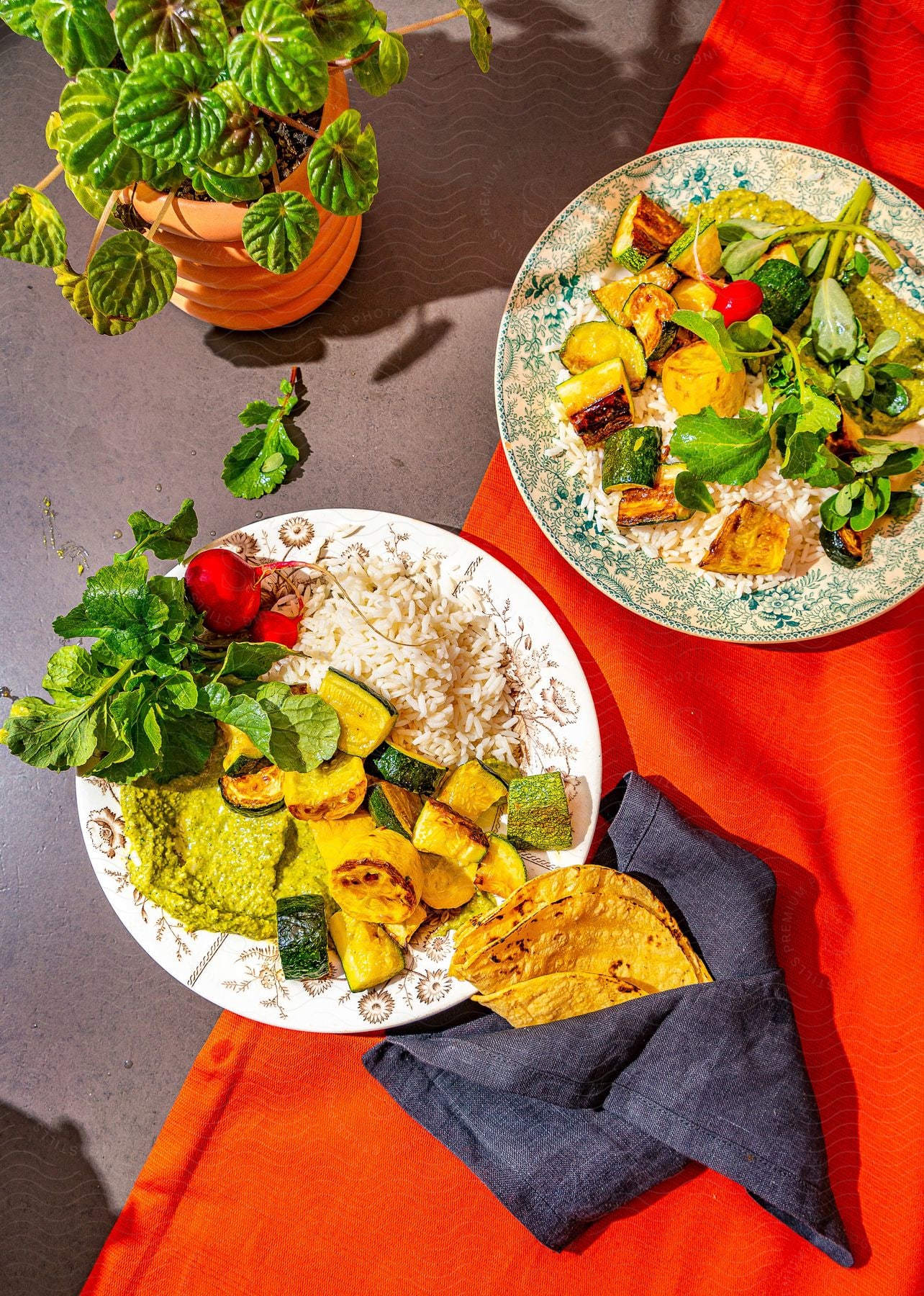 A dish with white rice zucchini radish corn tortillas and a potted plant on a red table cloth