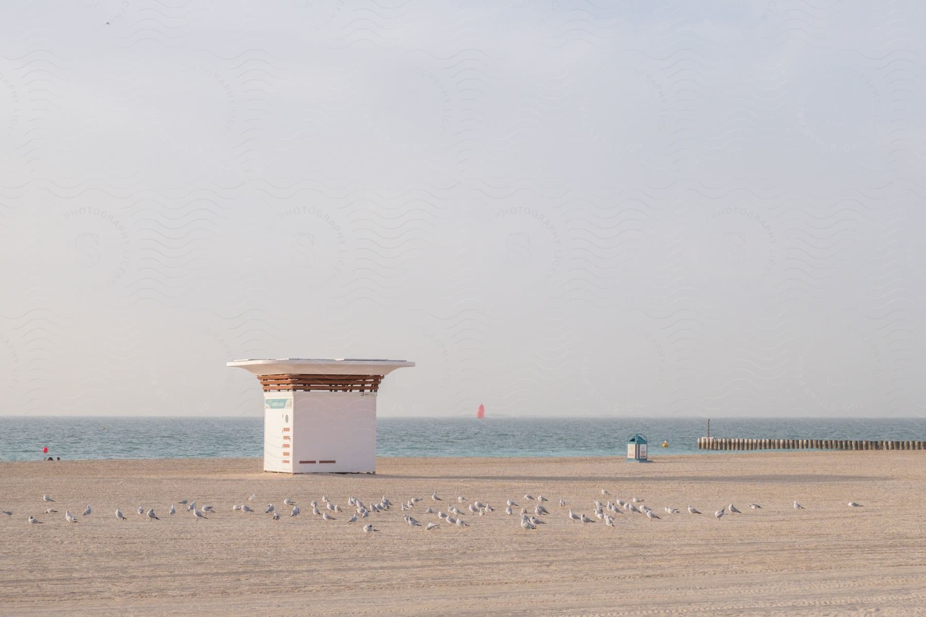 Seagulls and a small beach staff station building on a beach on a hazy clouded day