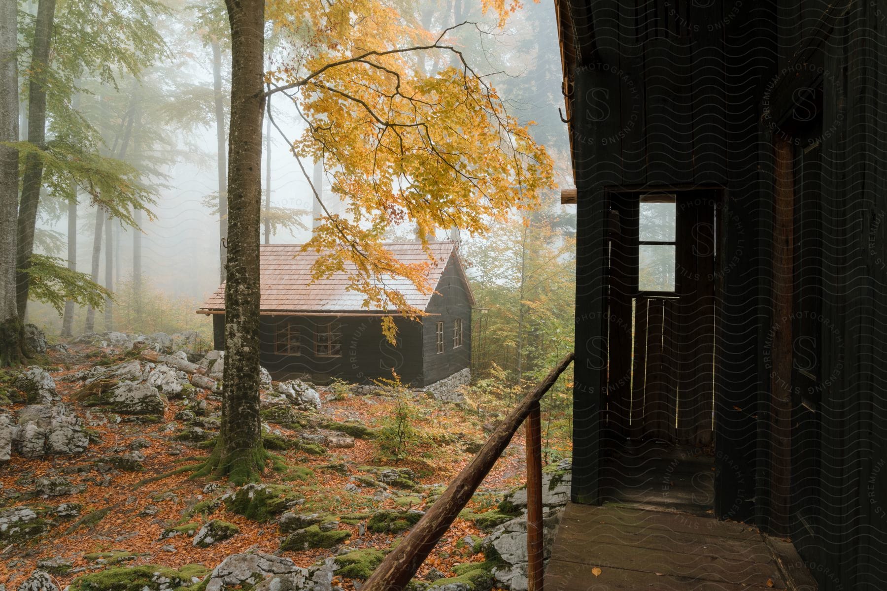 Scandinavian cabin in a foggy forest