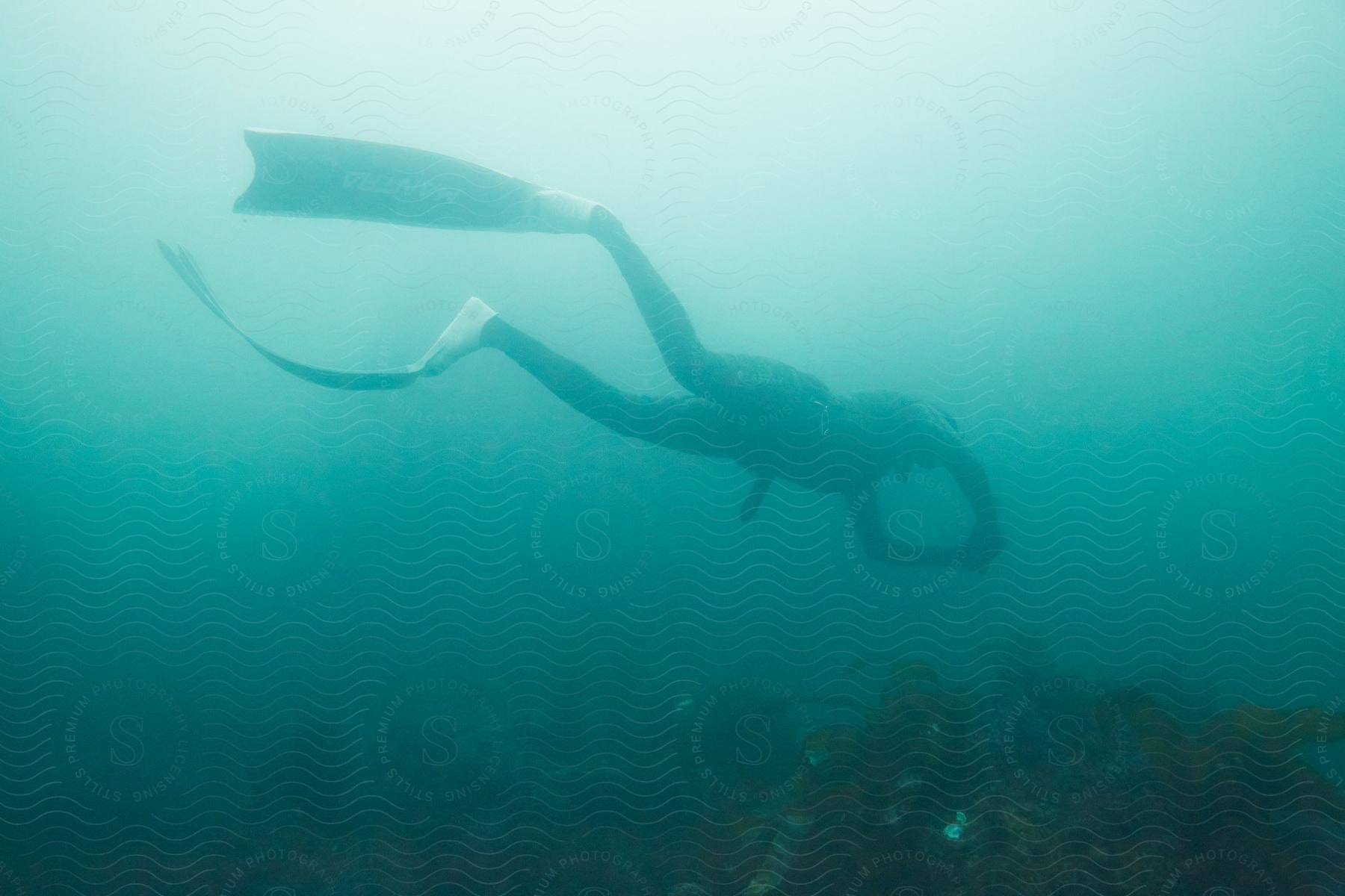 A scuba diver swims over the seabed in cloudy water with sunlight shining from above