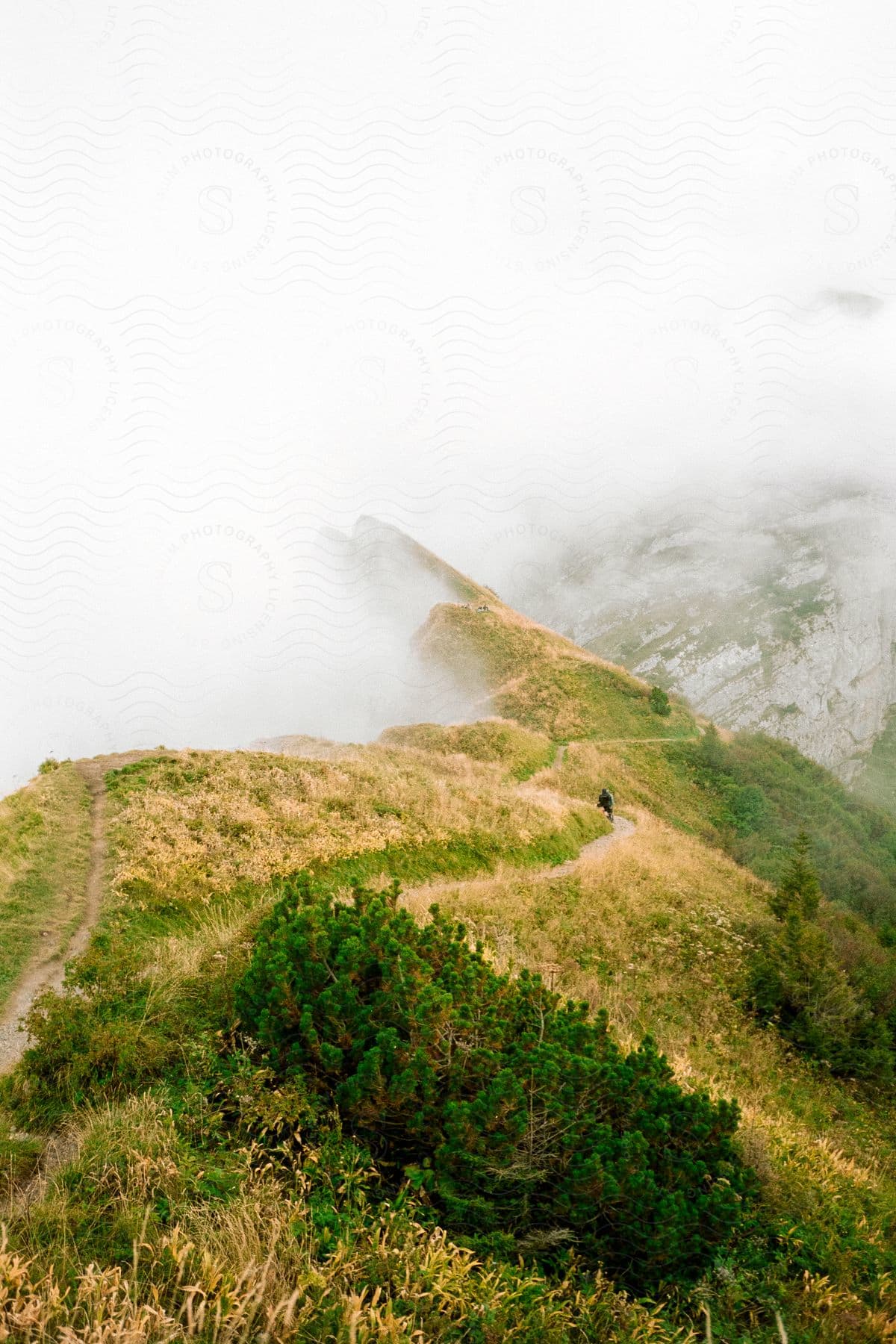 A person walks a trail along a grassland cliffside with clouds on one side and bright grass on the other