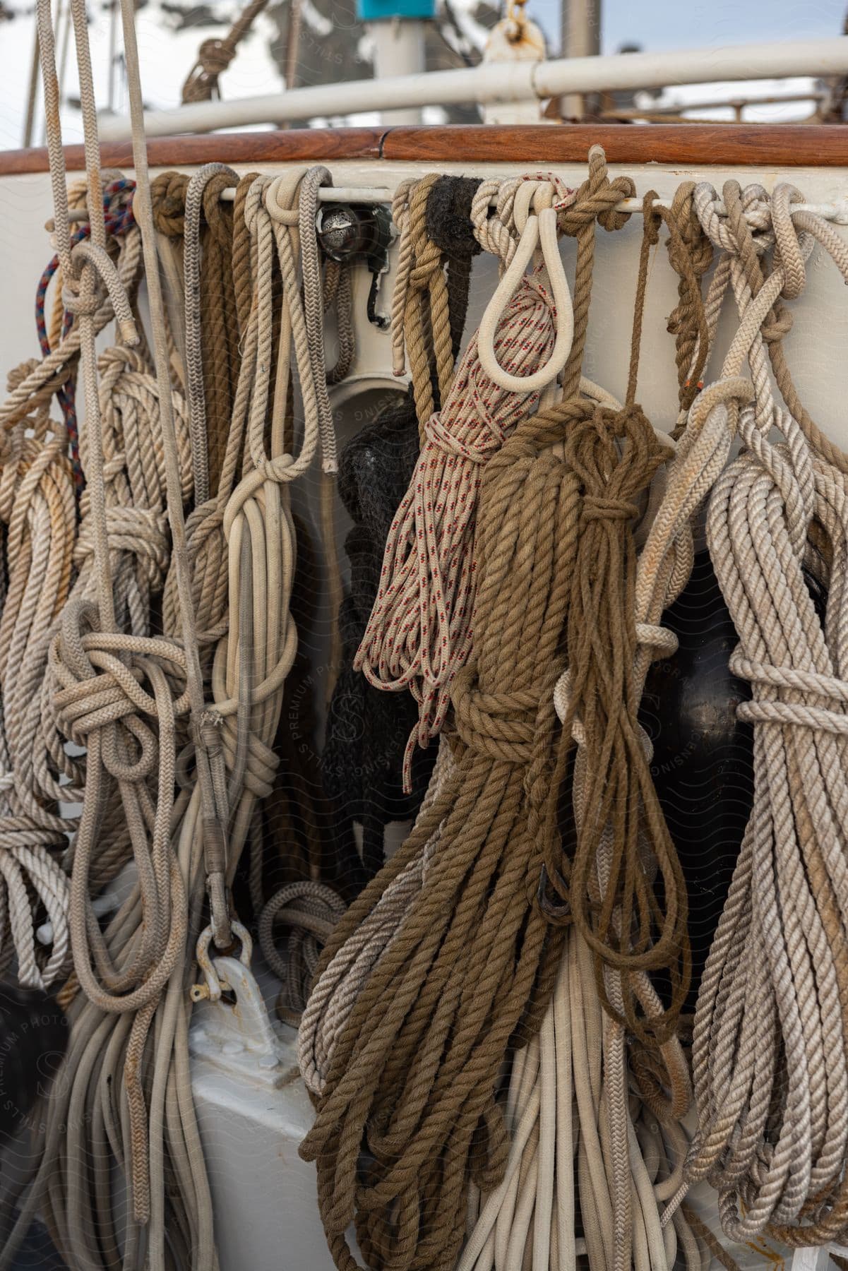 Ropes neatly hung on a rack on a sailboat for easy access