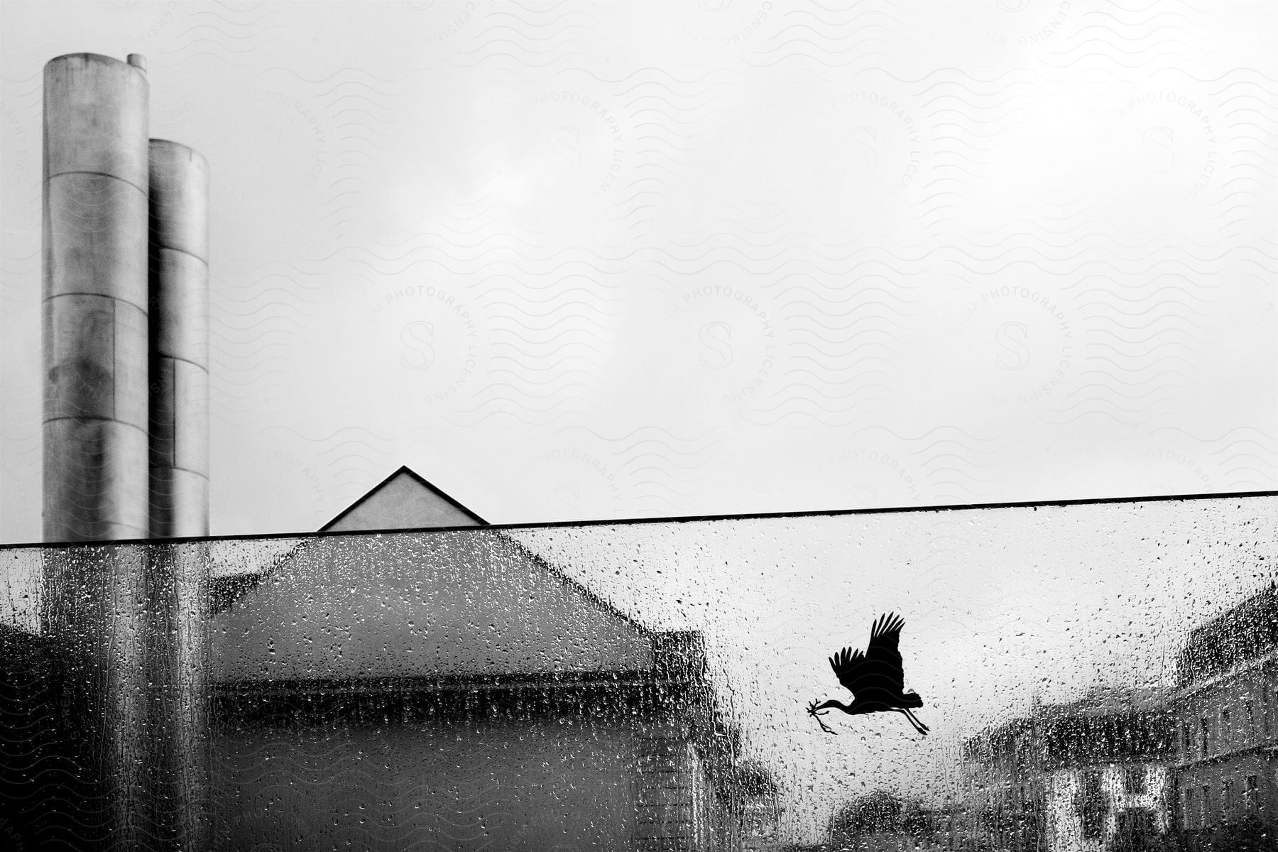 A stork flying near the roof of a house holding a twig in its beak on a rainy fall day in the city