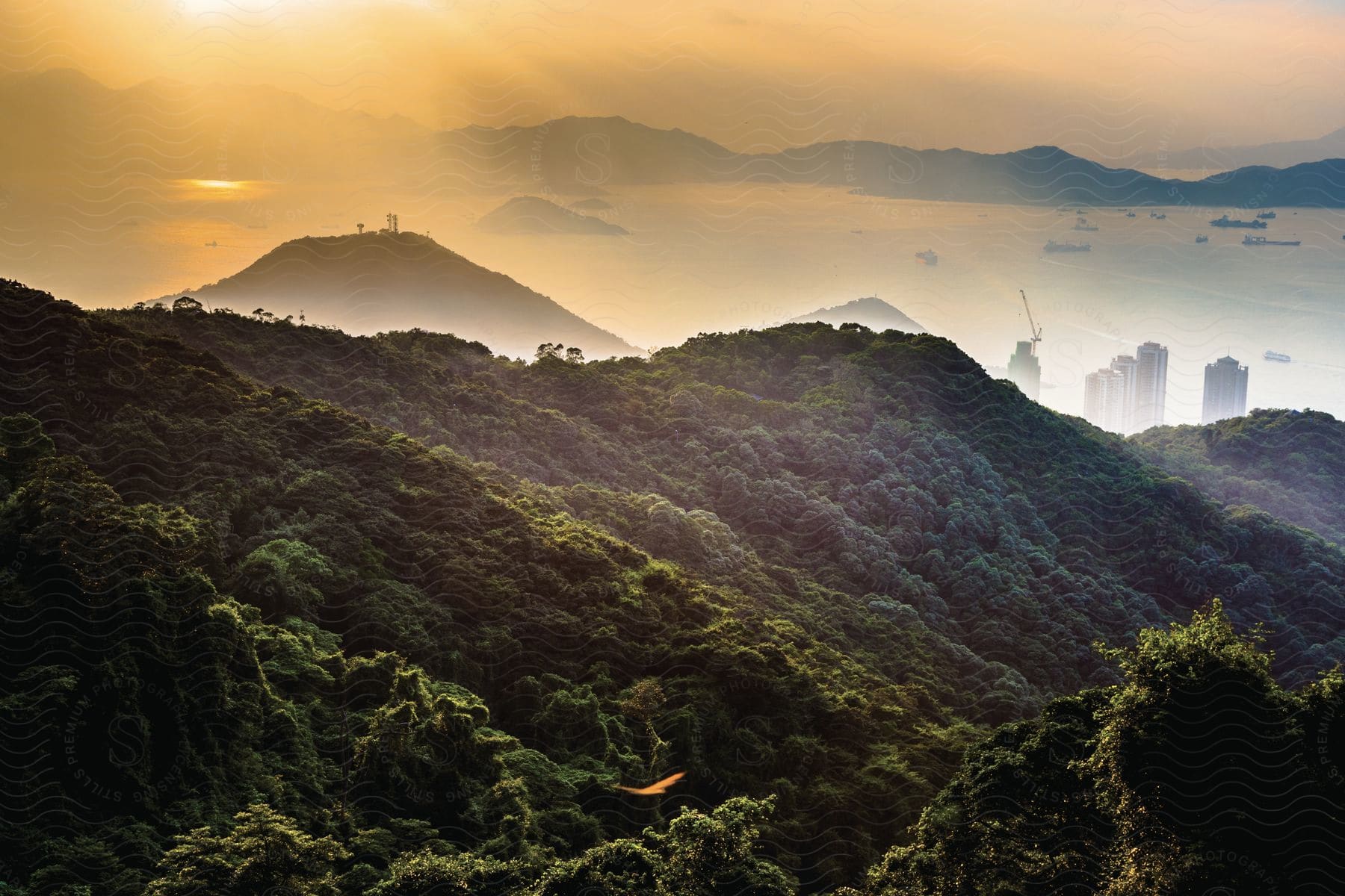 A lowflying bird near a mountain range