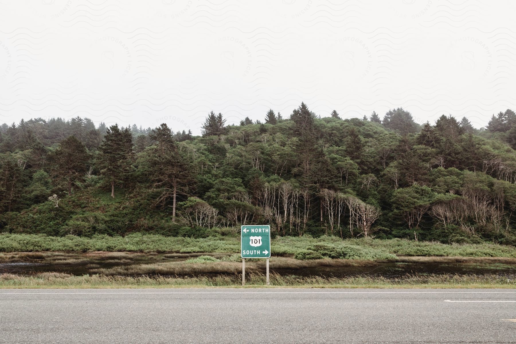 A road sign stands among trees and vegetation in a natural landscape