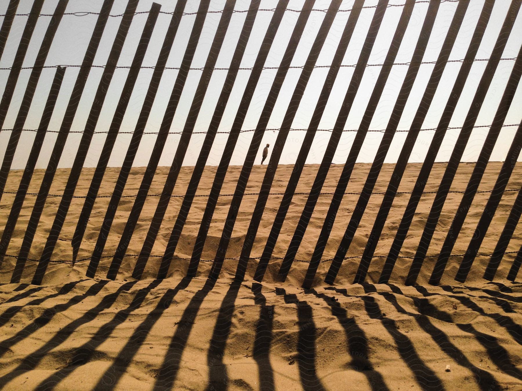 A person standing on sandy land with a fence