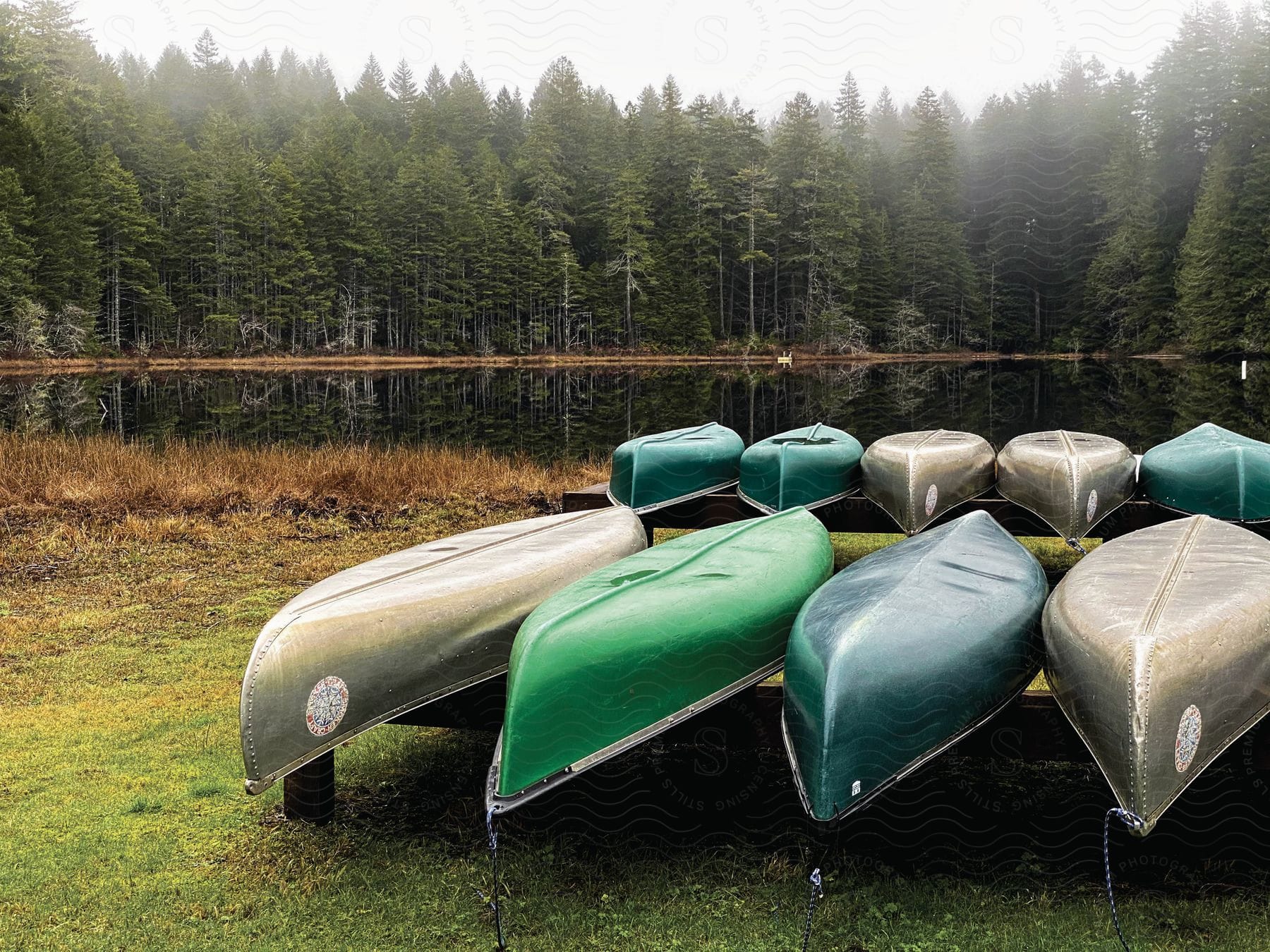 Canoes are lined up and flipped over on a rack along the coast of a lake surrounded by forests