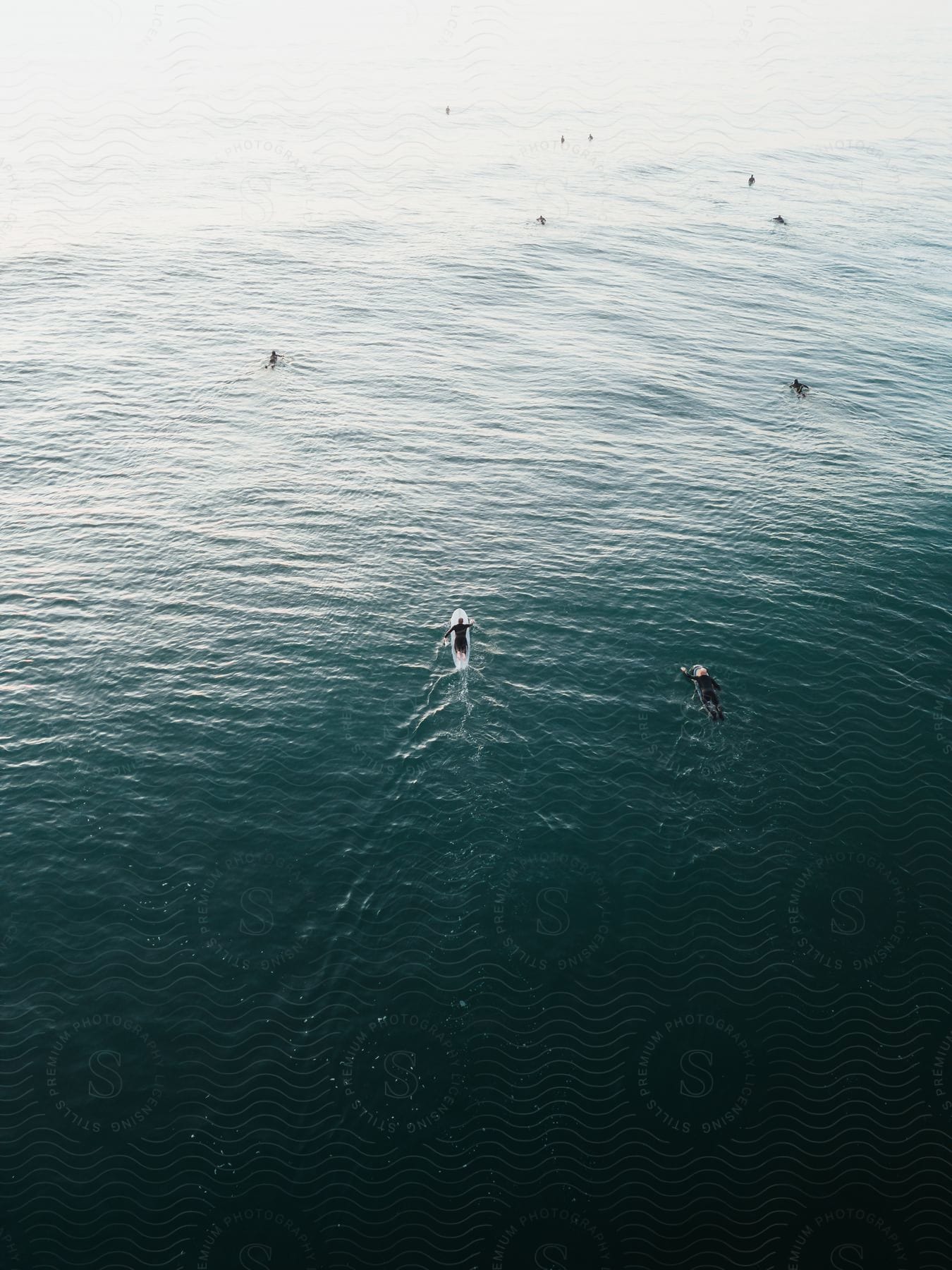 A group of paddle boarders paddle through open sea